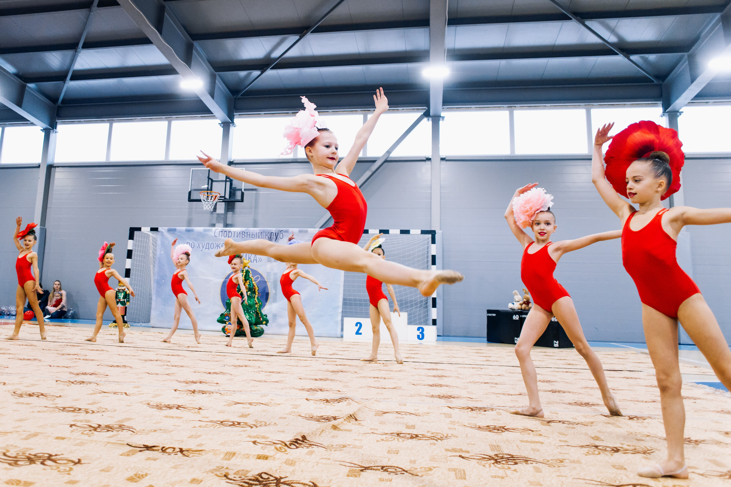 Гимнастика. Фотограф в Санкт-Петербурге Виктория Безверхая