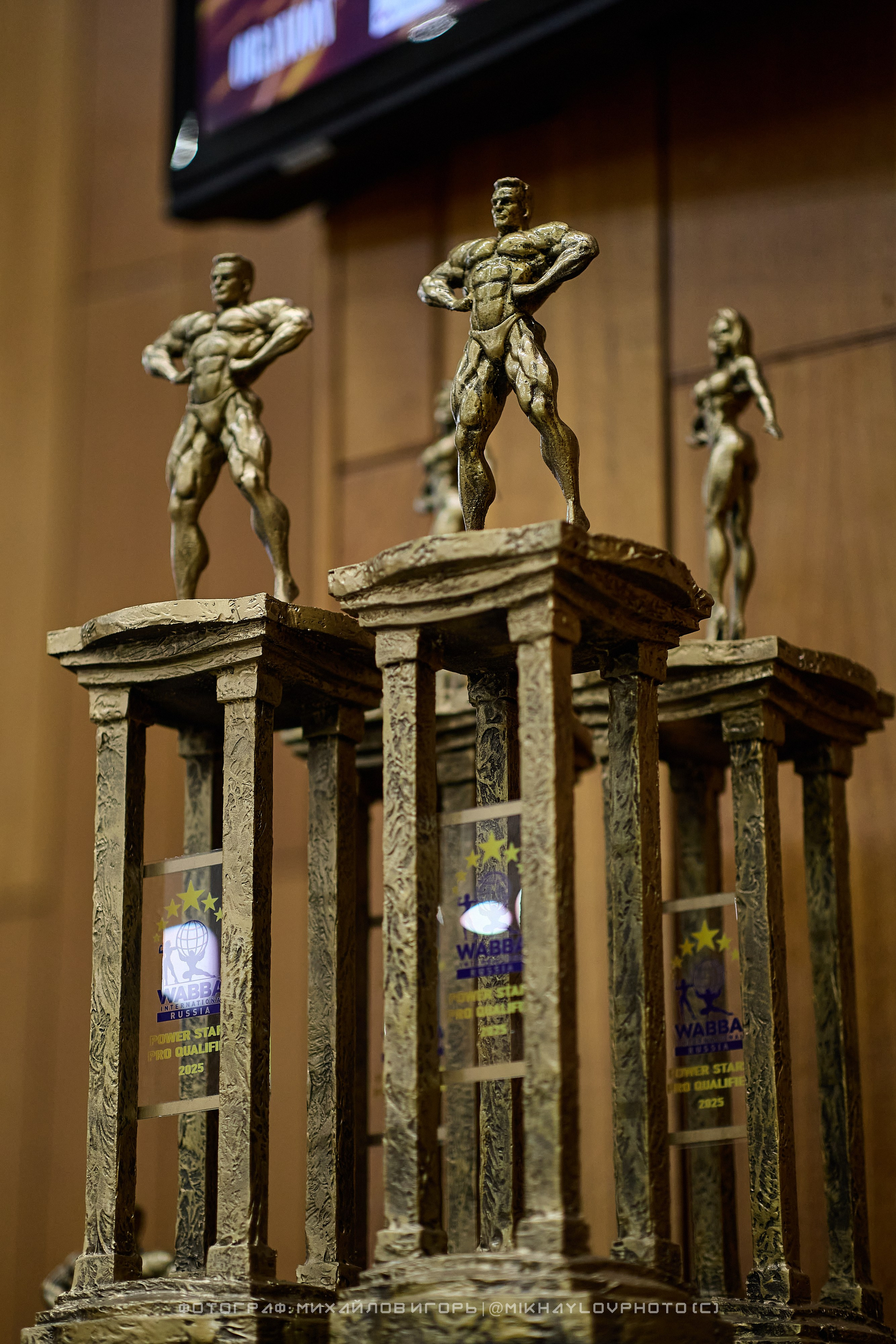 WABBA 10|2025. Фотограф Игорь Михайлов