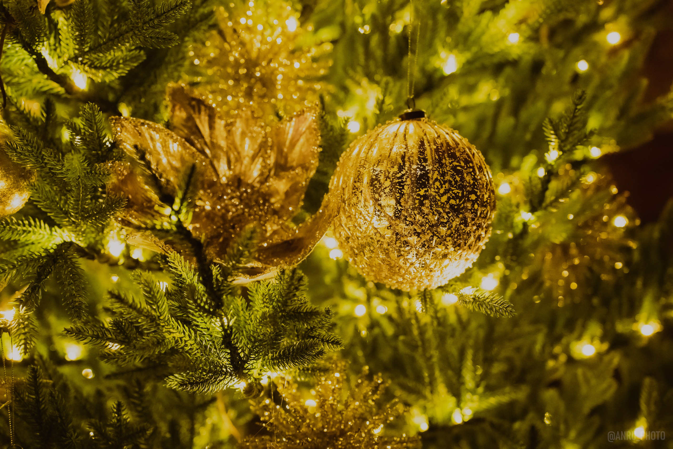 День Альфреда Хичкока. Репортажный фотограф Анастасия Рубцова