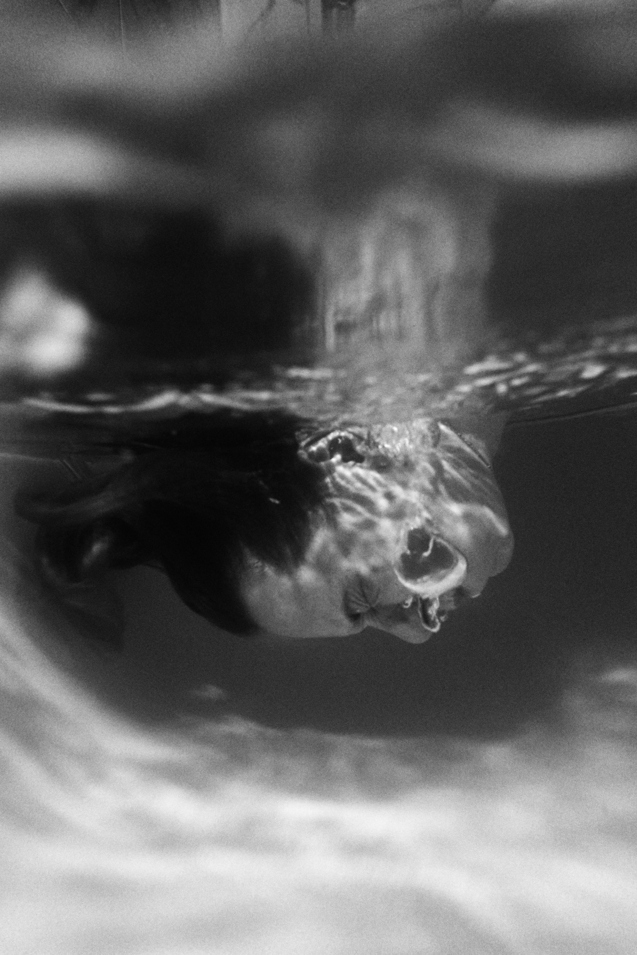 Перестать сопротивляться. Арт-фотограф Кристина Каширская