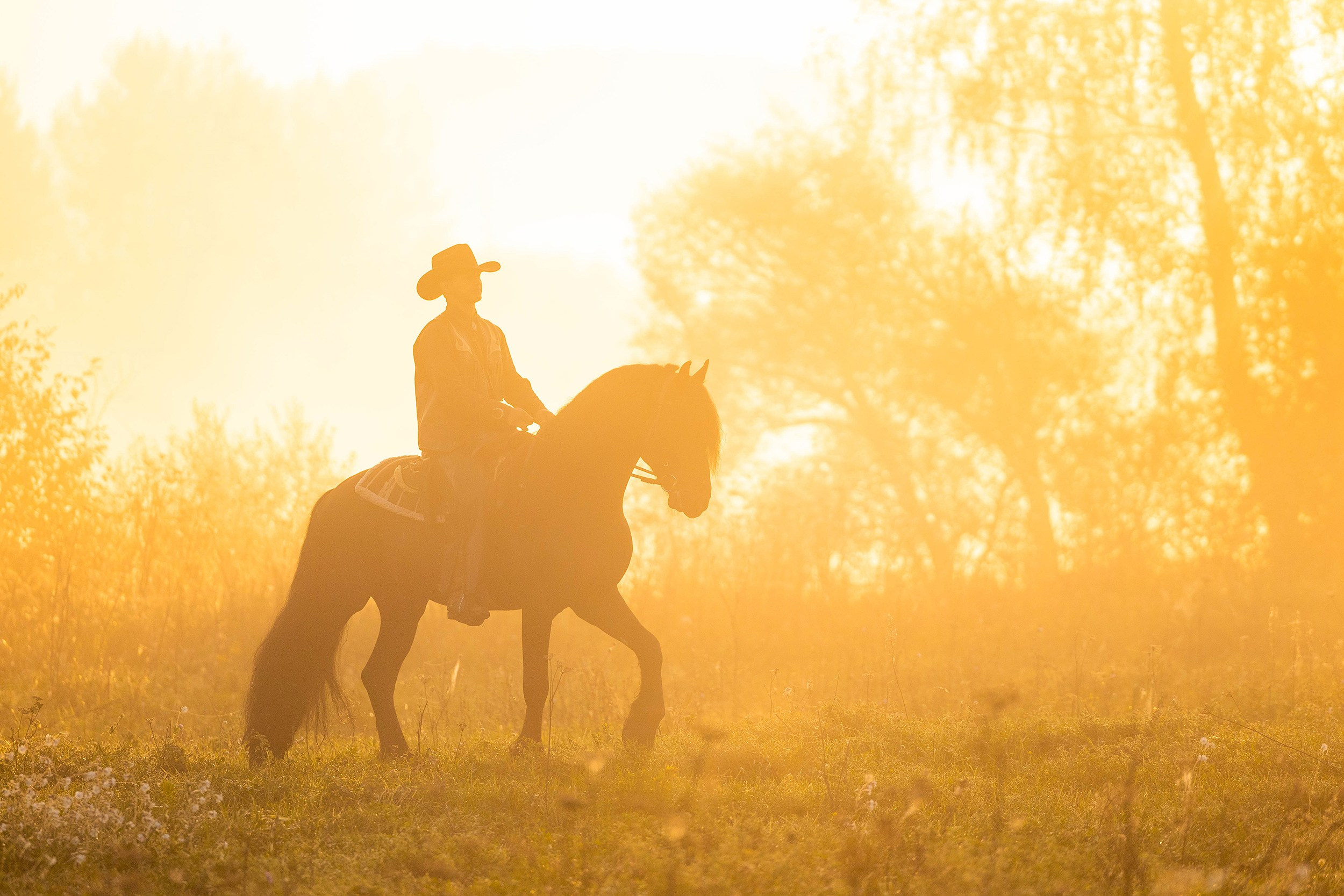 Люди. Фотограф-анималист Юлия Удовенко