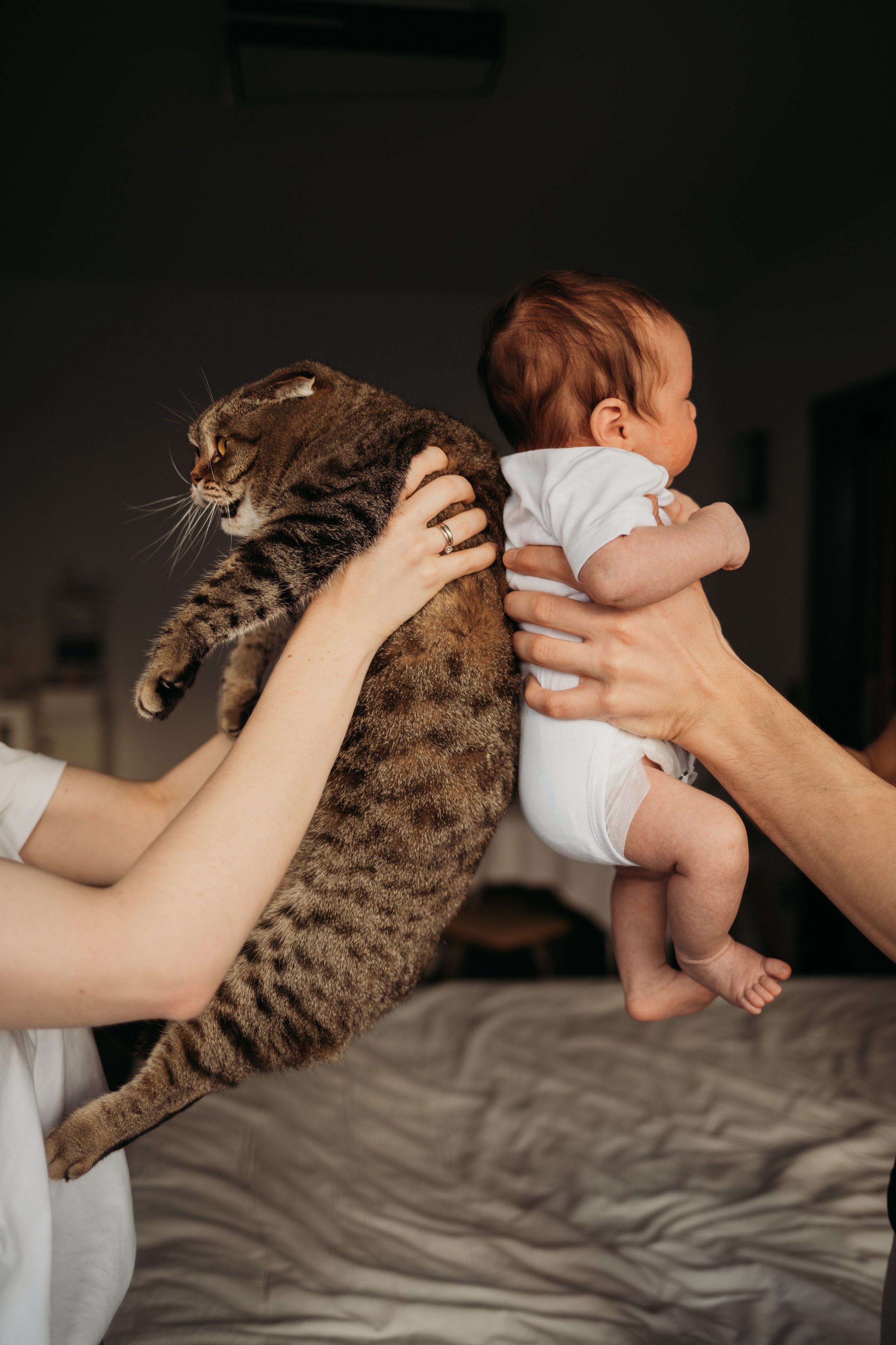 Дима, Катя и Андрей. Семейный и детский фотограф в Москве Александра Нараевская