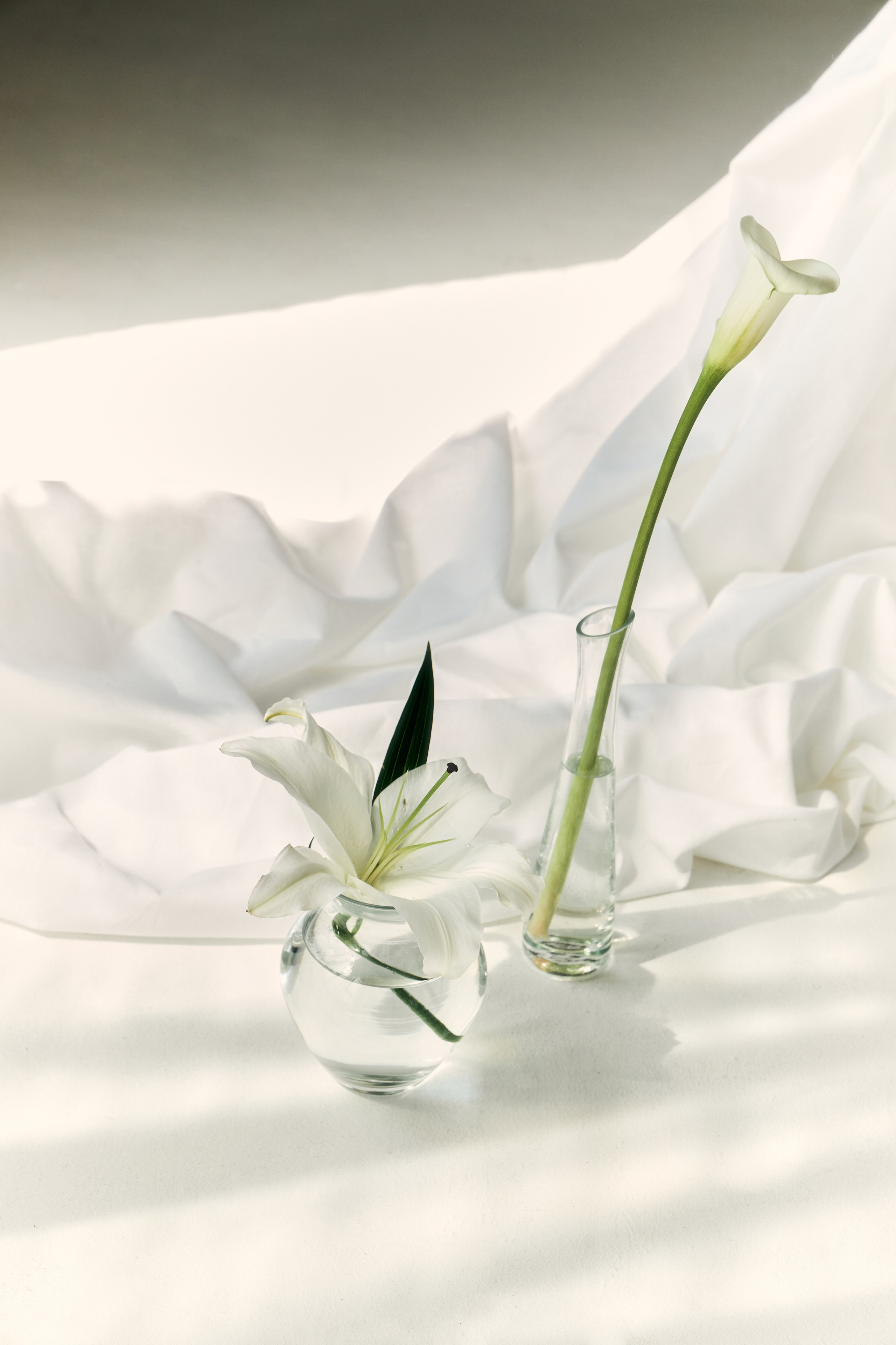 № 24. Продюсер фото и видео контента