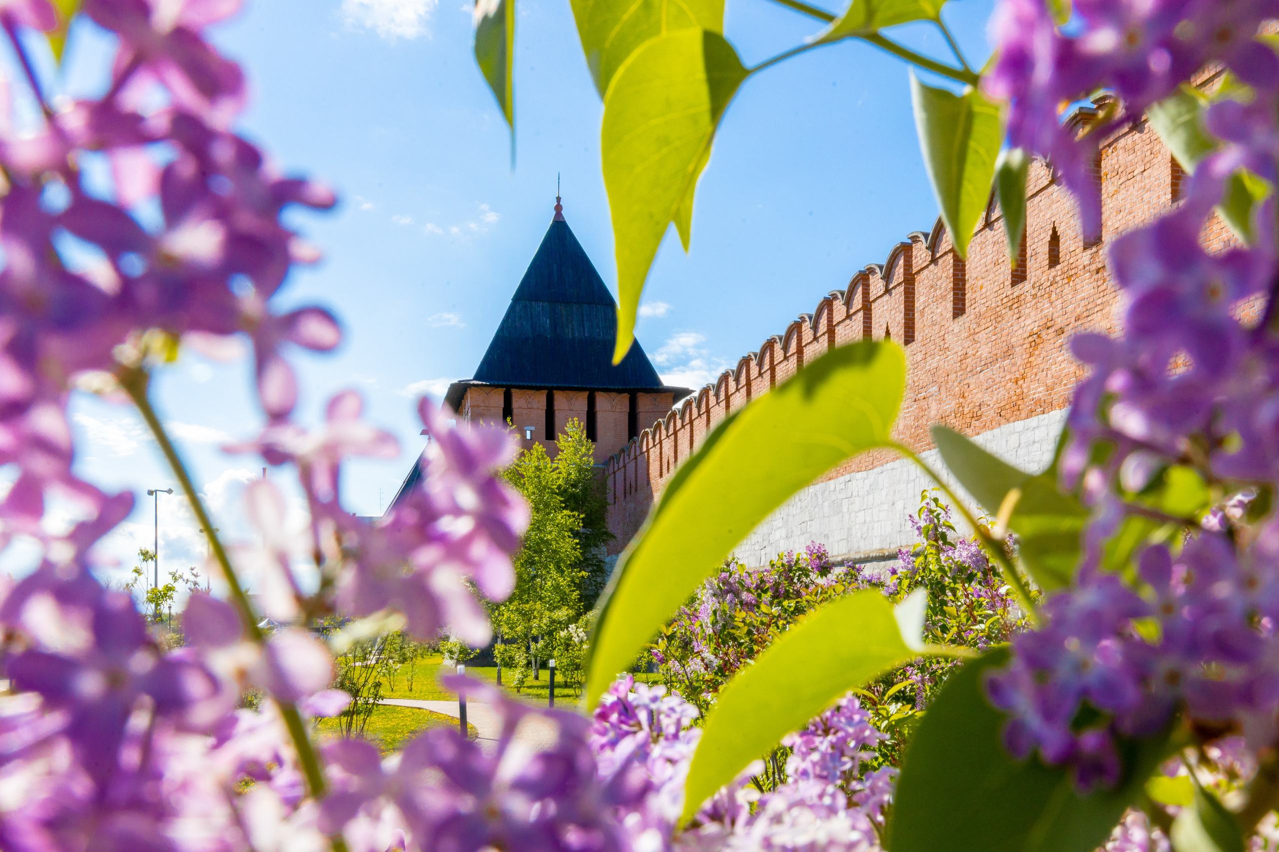 Весеннее цветение в Туле. Фотограф в Туле Крупский АнДРей. Фотостудия «КАДР71» в Туле