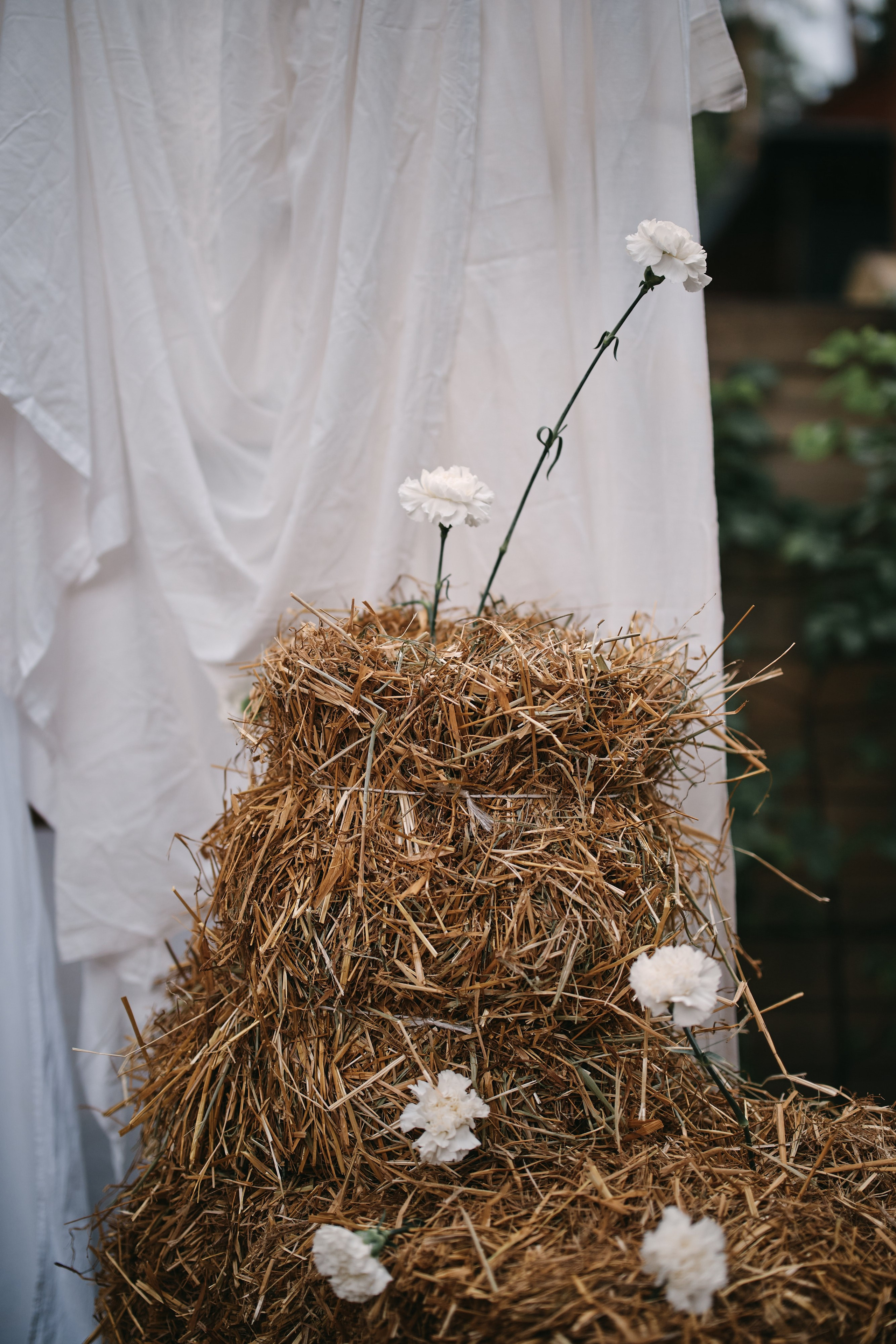 День Рождения Алины. Свадебный фотограф Сергей Фарковец