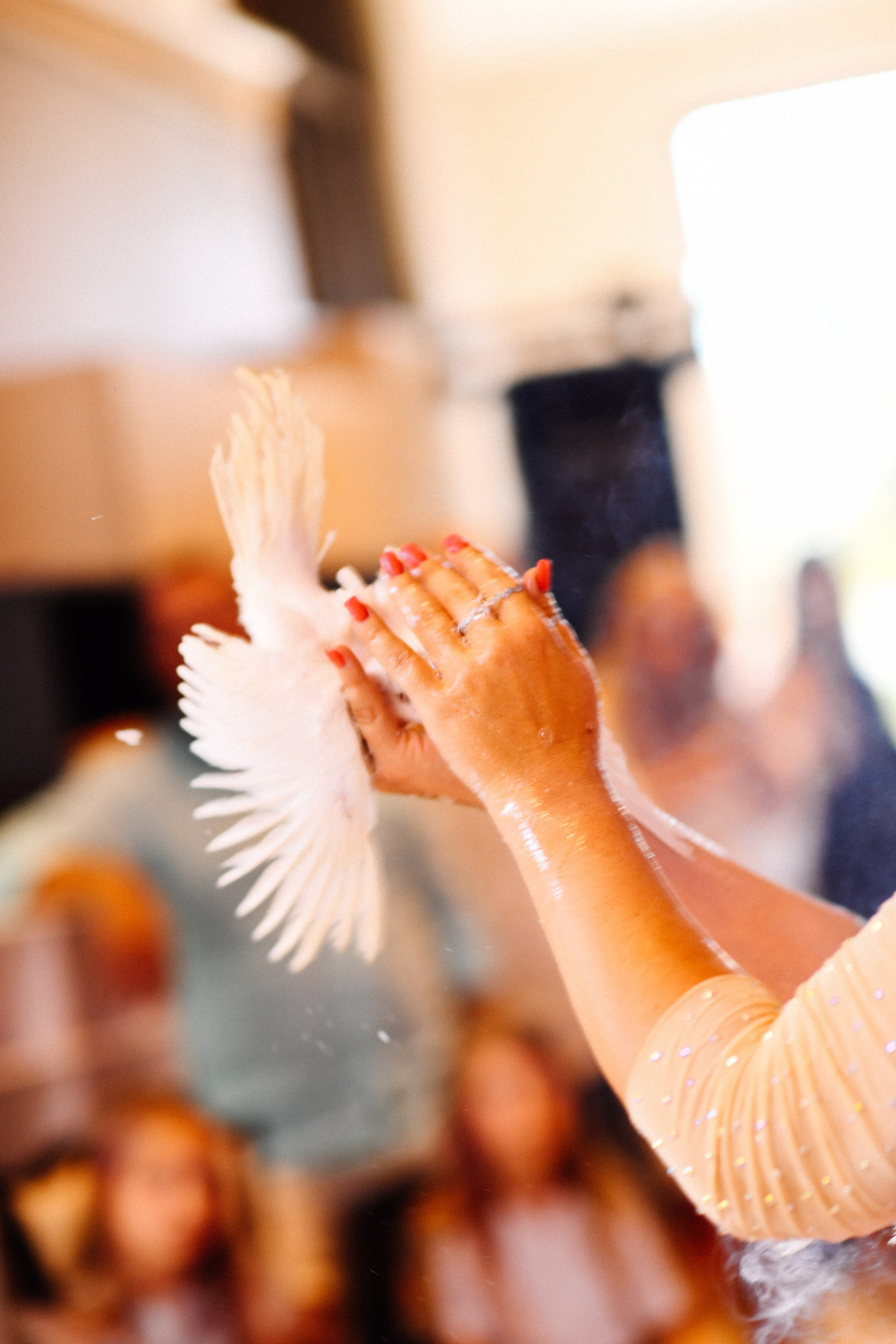 Шоу мыльных пузырей. Студия авторских шоу программ Екатерины Козыревой для детей