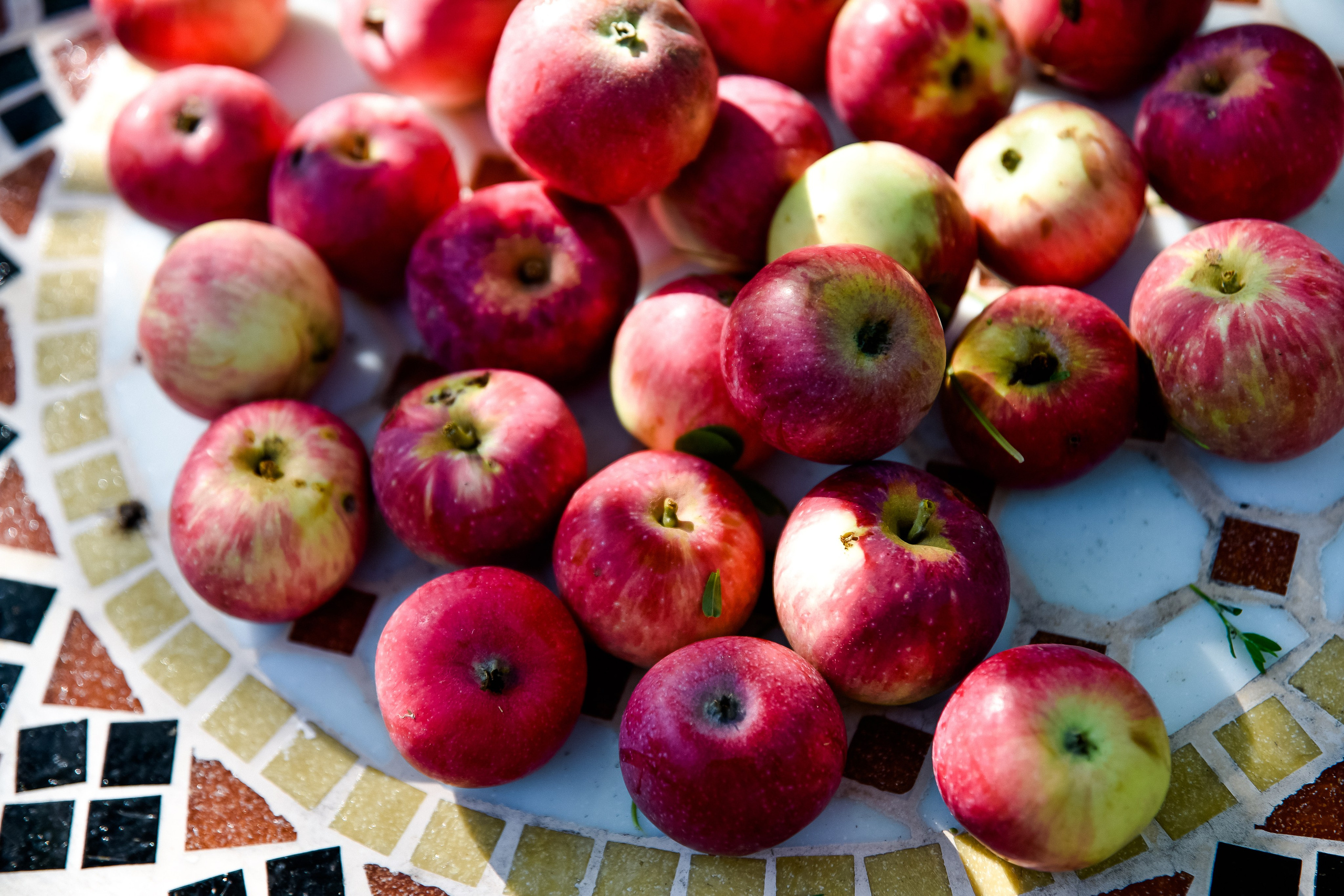 Семья Катюши