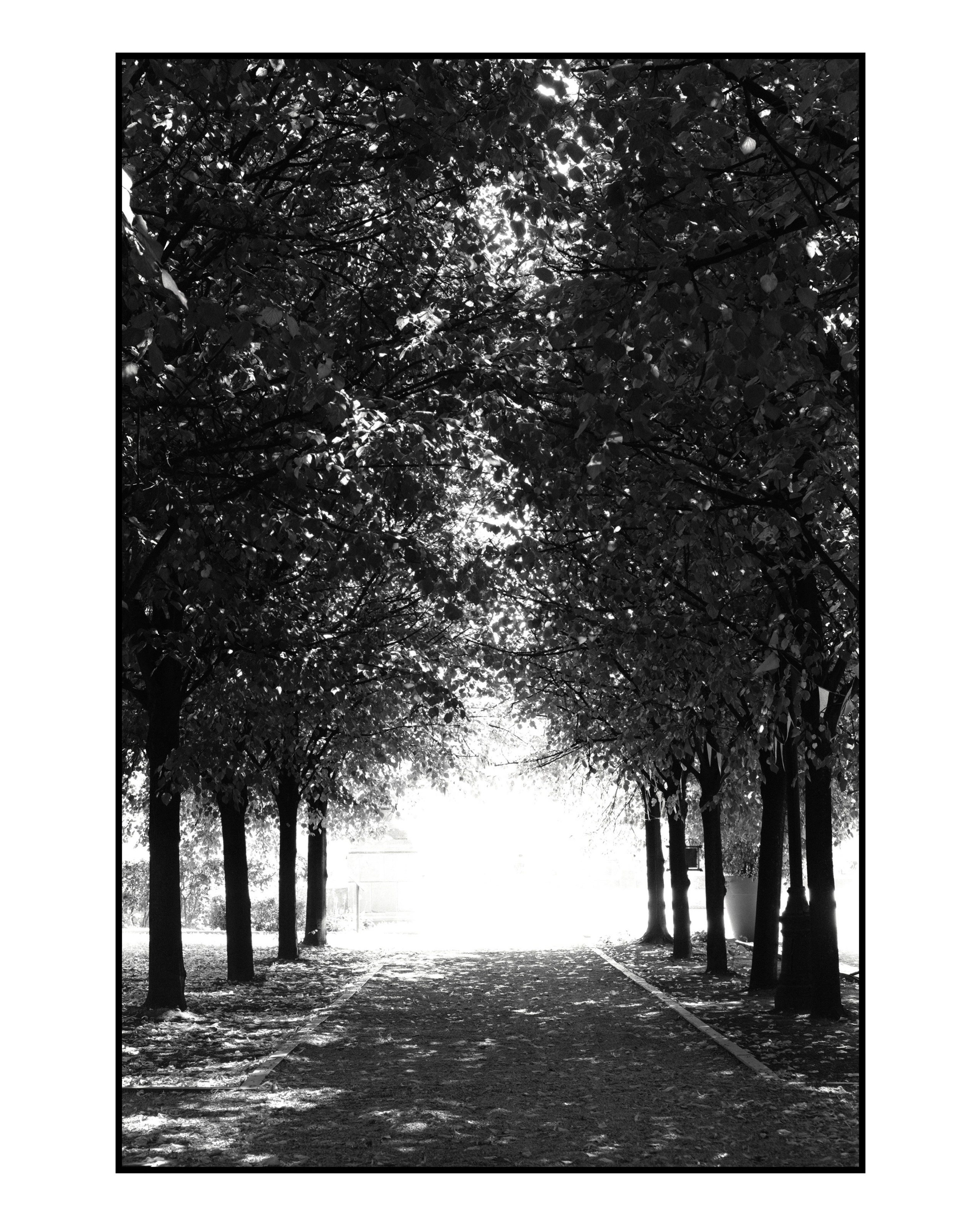 Город. Фотограф Маргана Лоция