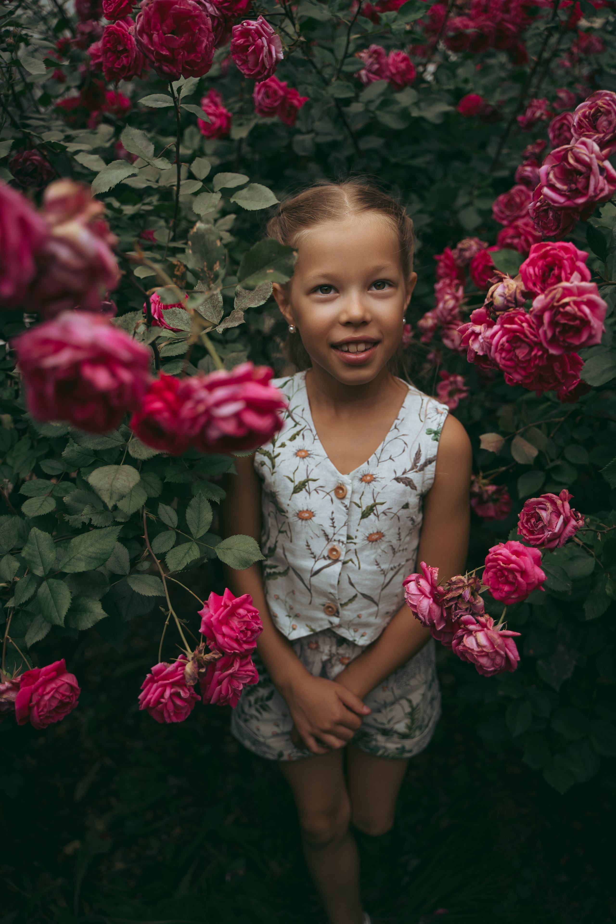 Розы. Фотограф Мария Зайчик