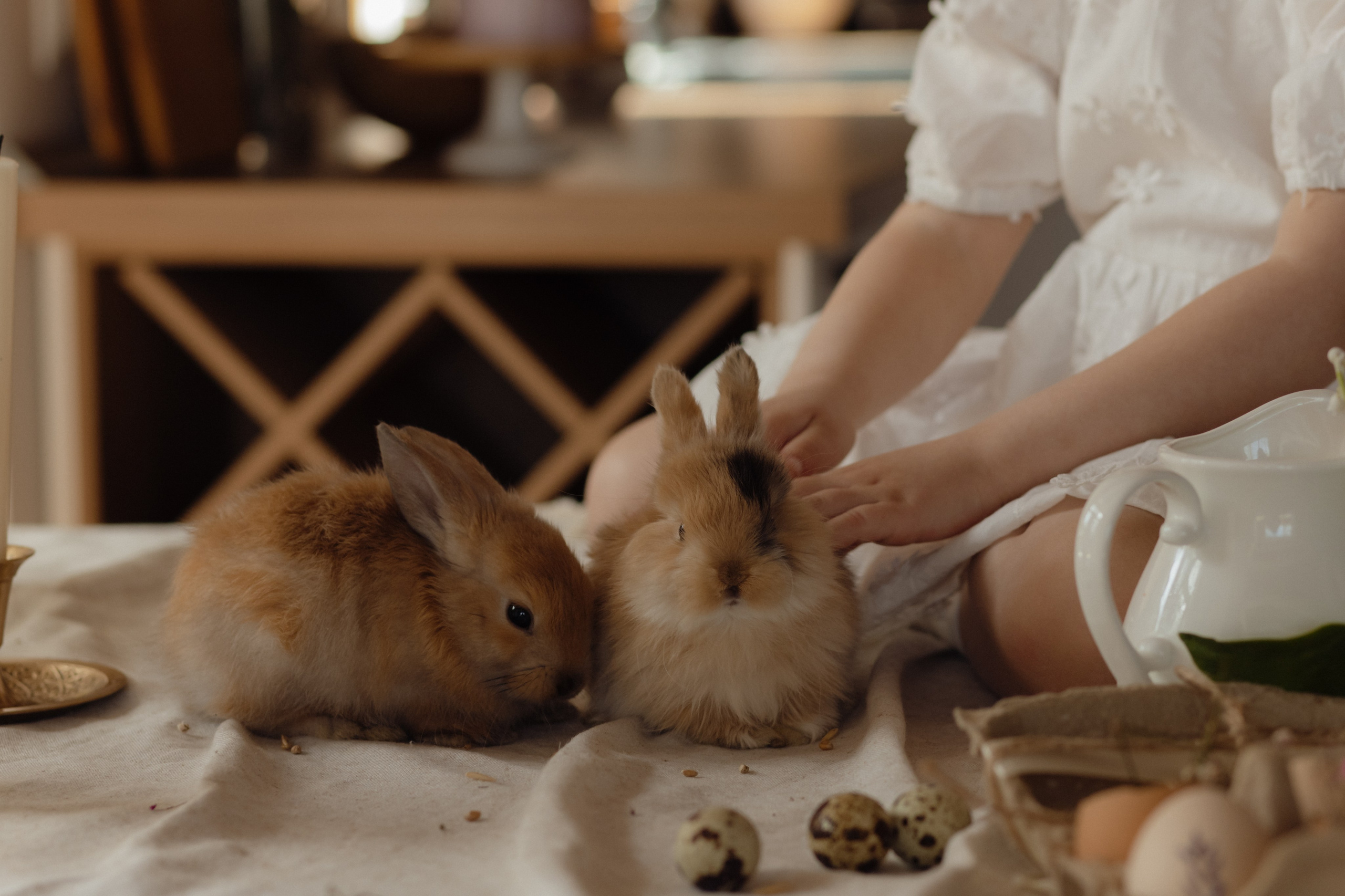 Варвара. Семейный и свадебный фотограф в Челябинске Мария Леонтьева
