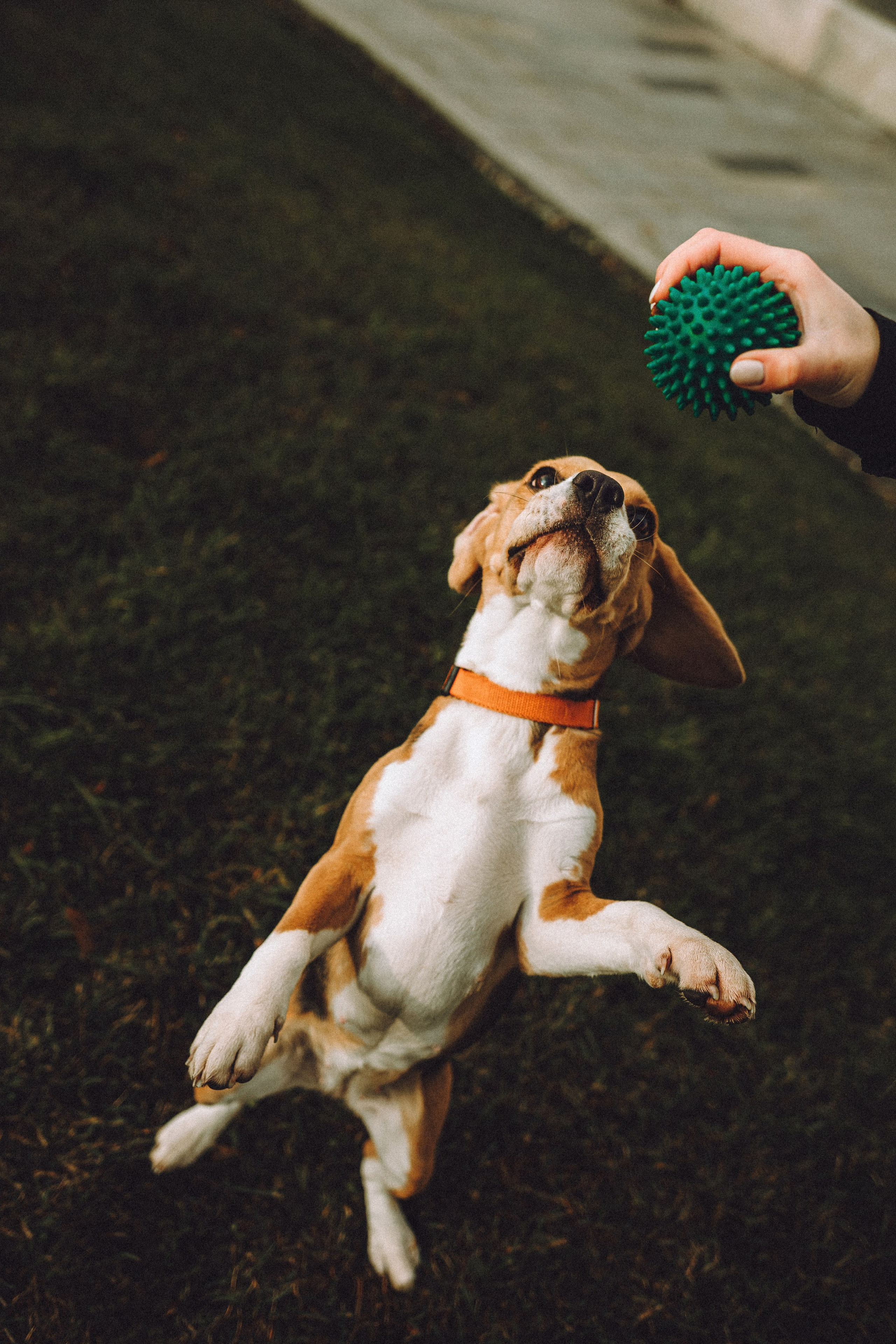 Ксюша и Мэгги