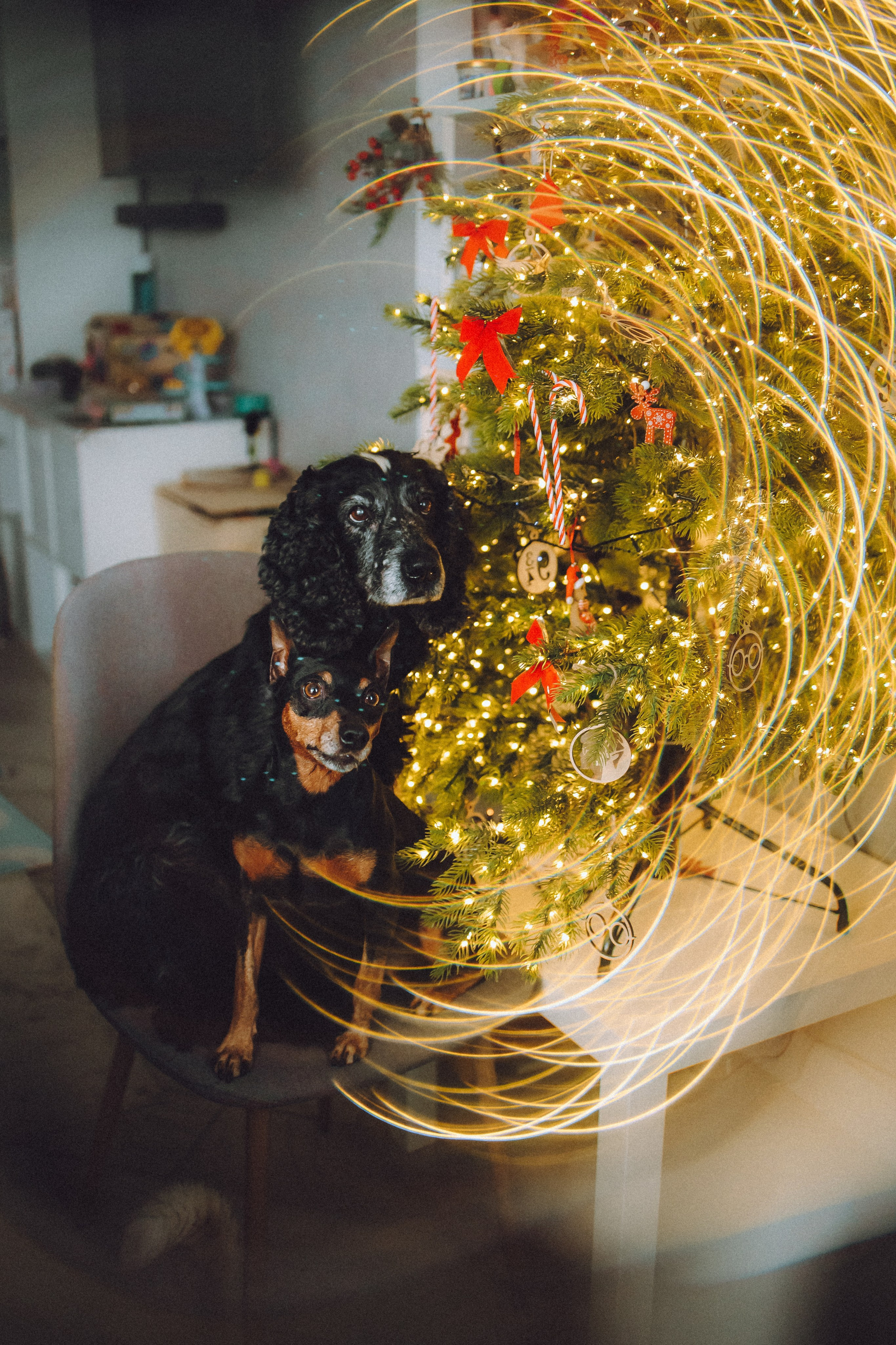 Топик и его семья