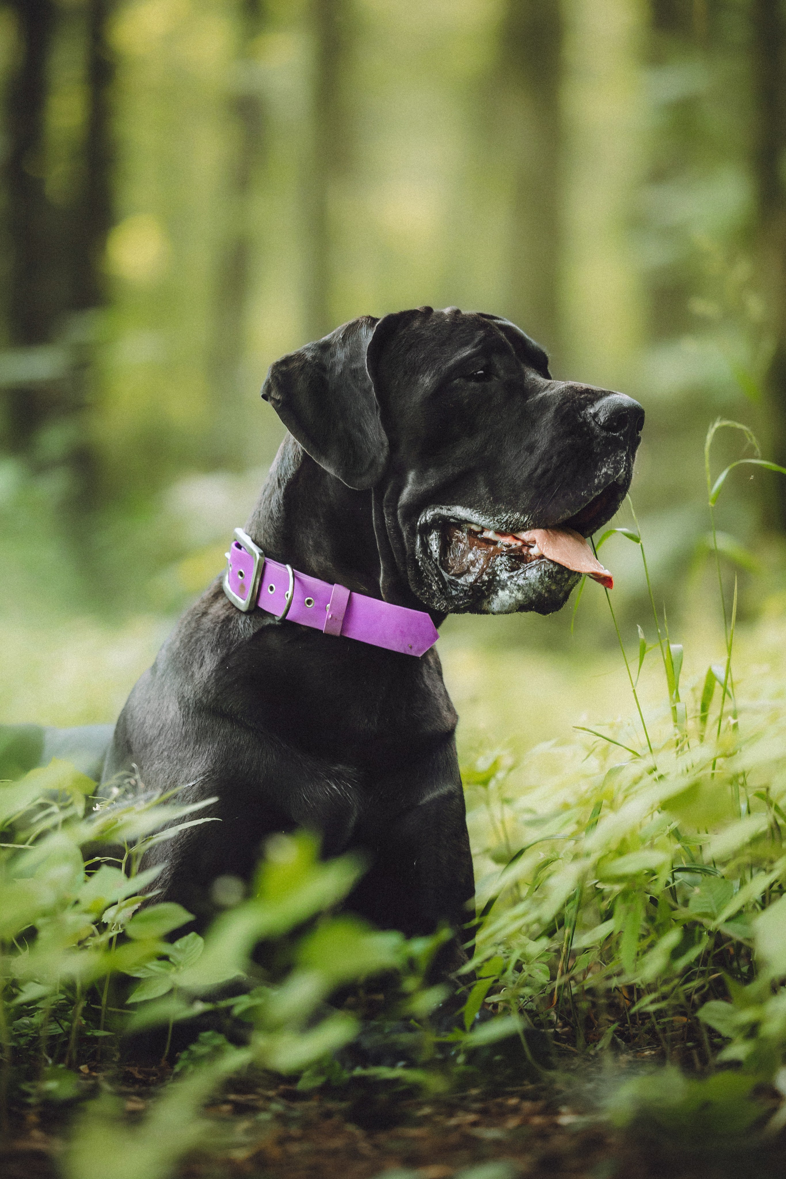 Катя, Андрей, Гектор, Ричи, Тортик и Трой