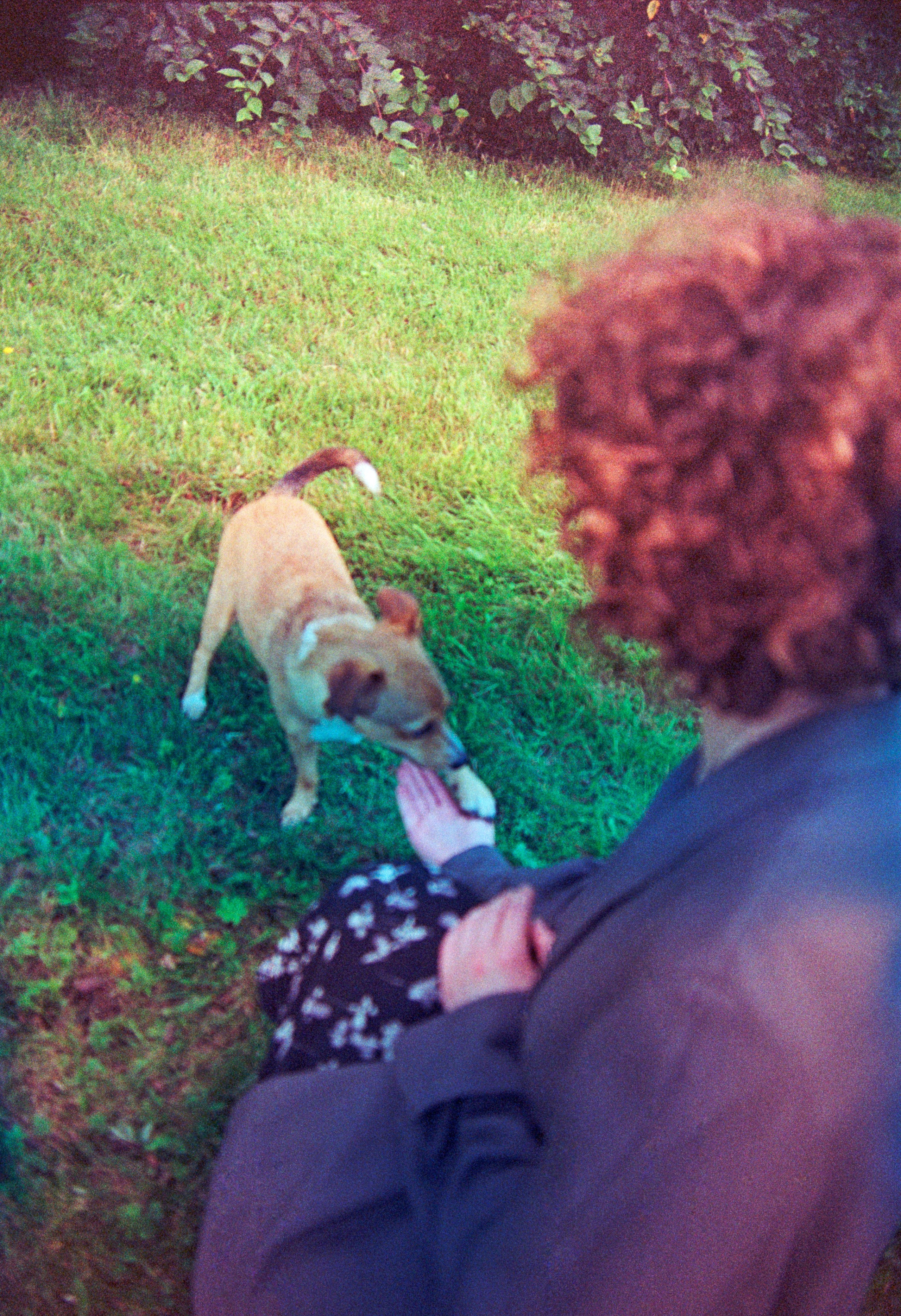 N&F 2. Стилист и плёночный фотограф Анастасия Шлокова в Санкт-Петербурге и Москве