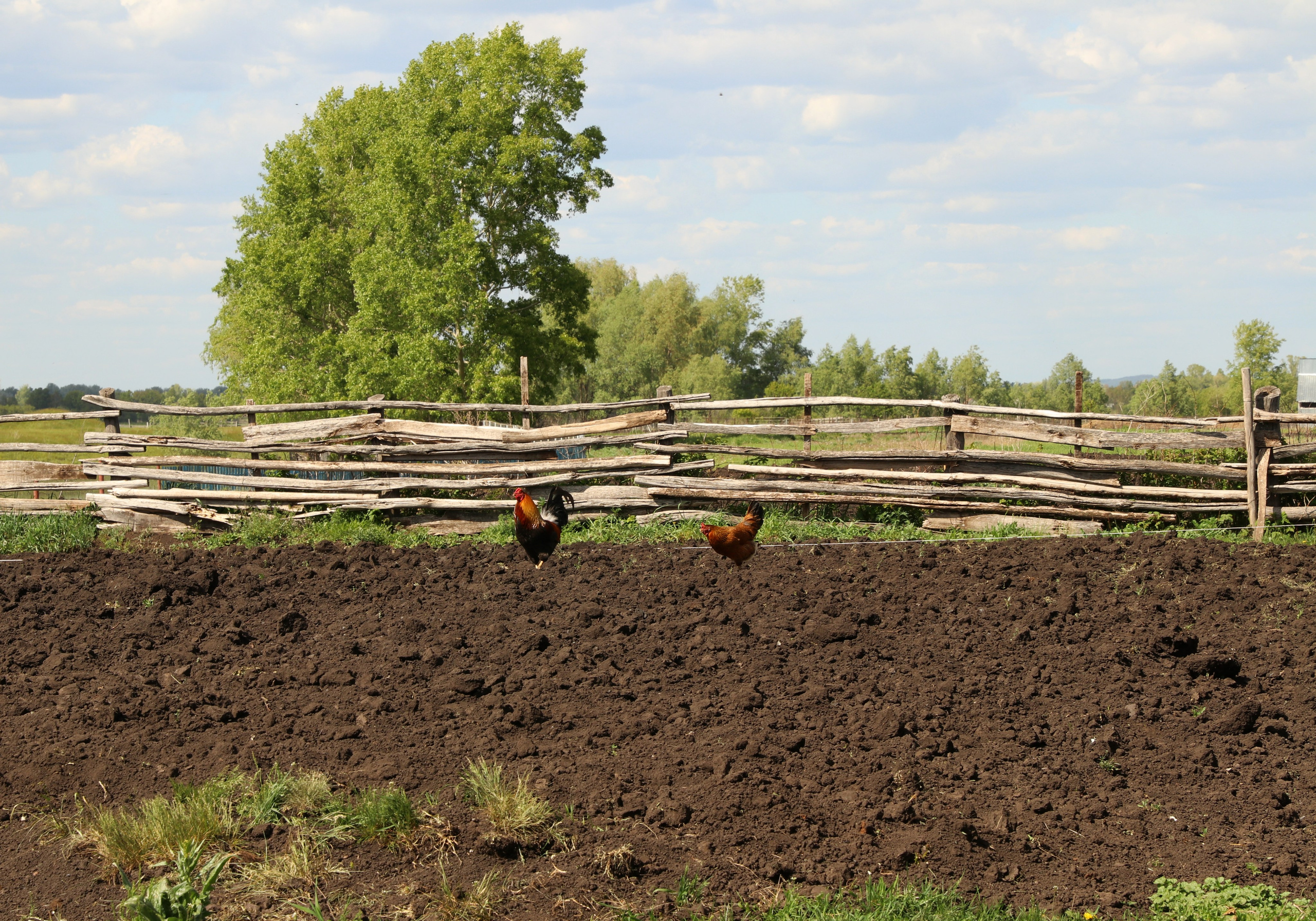 Велопоход Уфа — Мелеуз. Май 2024. Путешественник-фотограф из Санкт-Петербурга Татьяна Свистулина