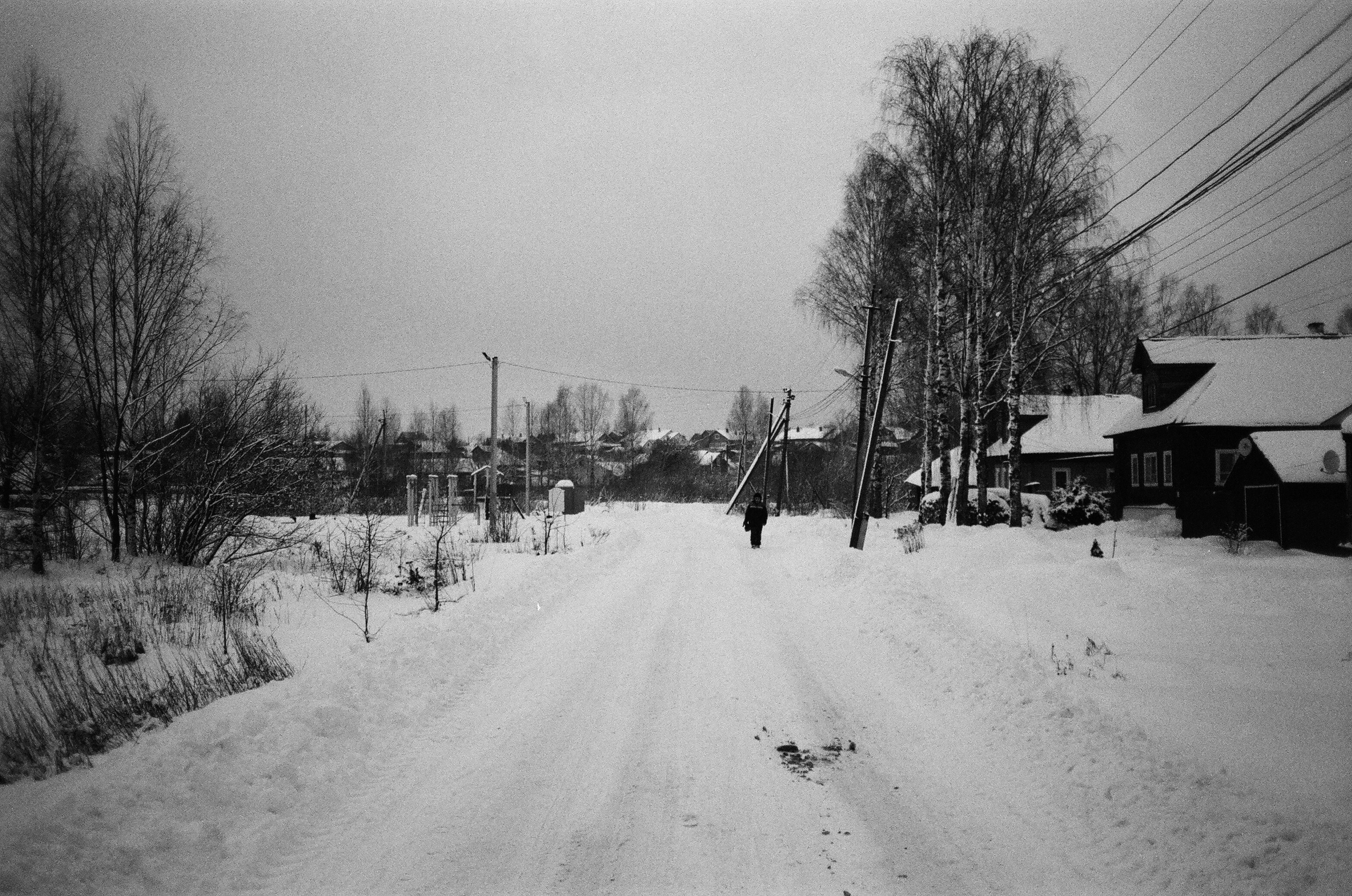 Village in snow. Pavlov Arts