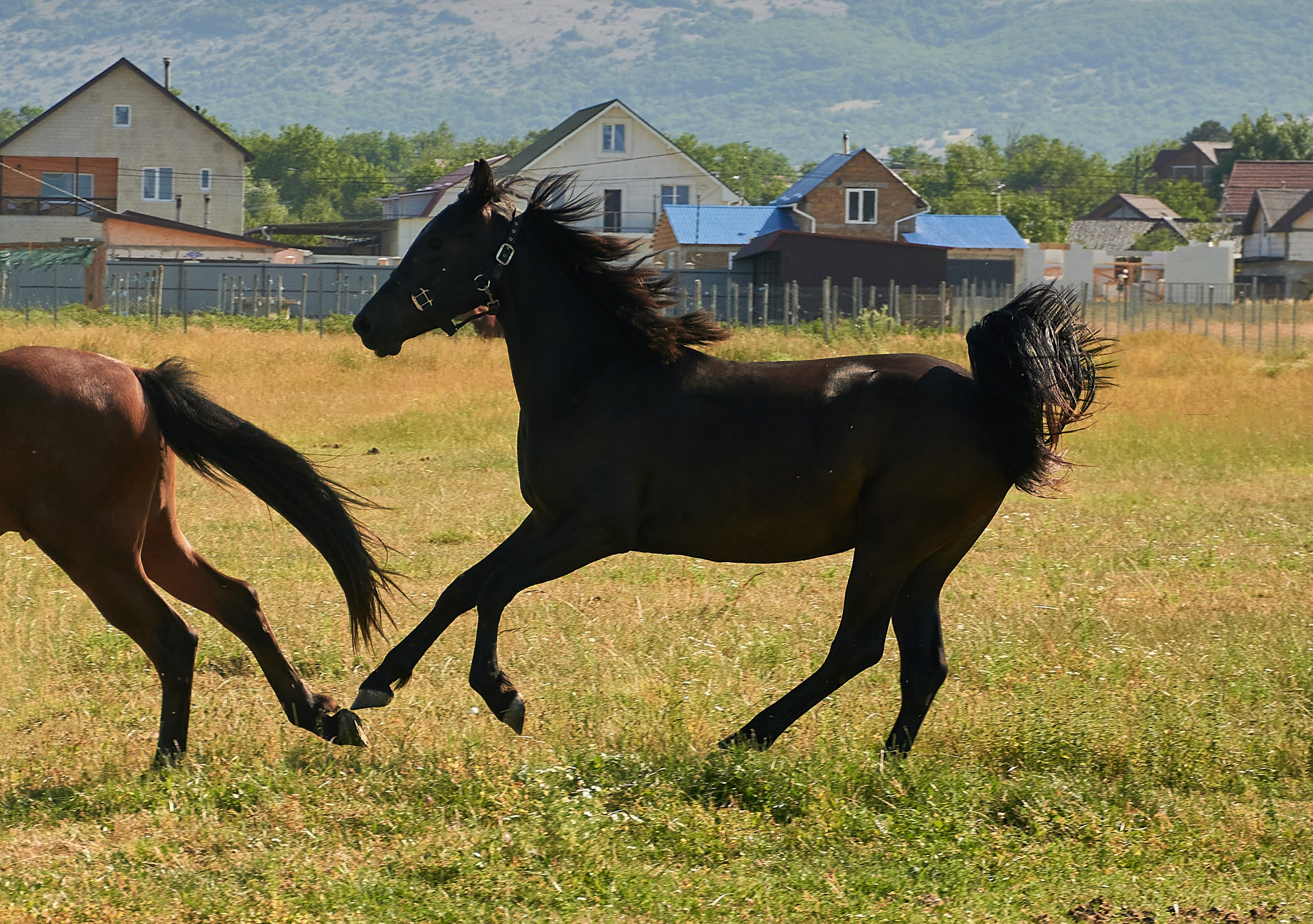 Изя. Фотограф в Севастополе