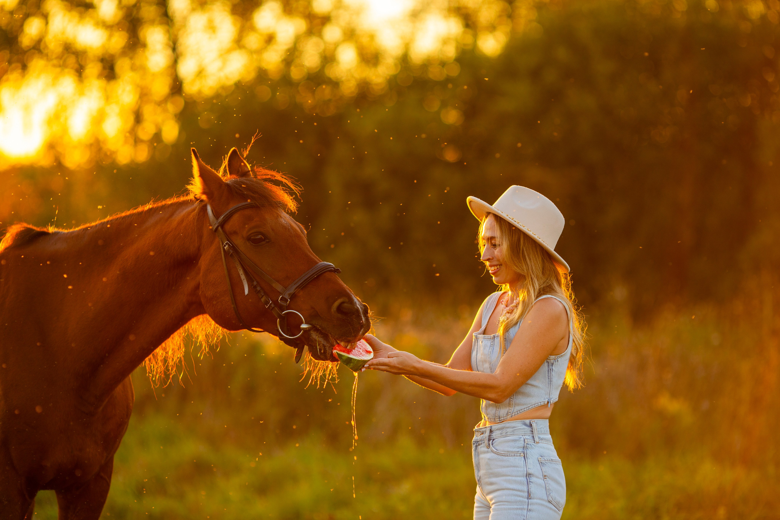 С лошадьми. Фотограф в Москве и в Московской области Сандра