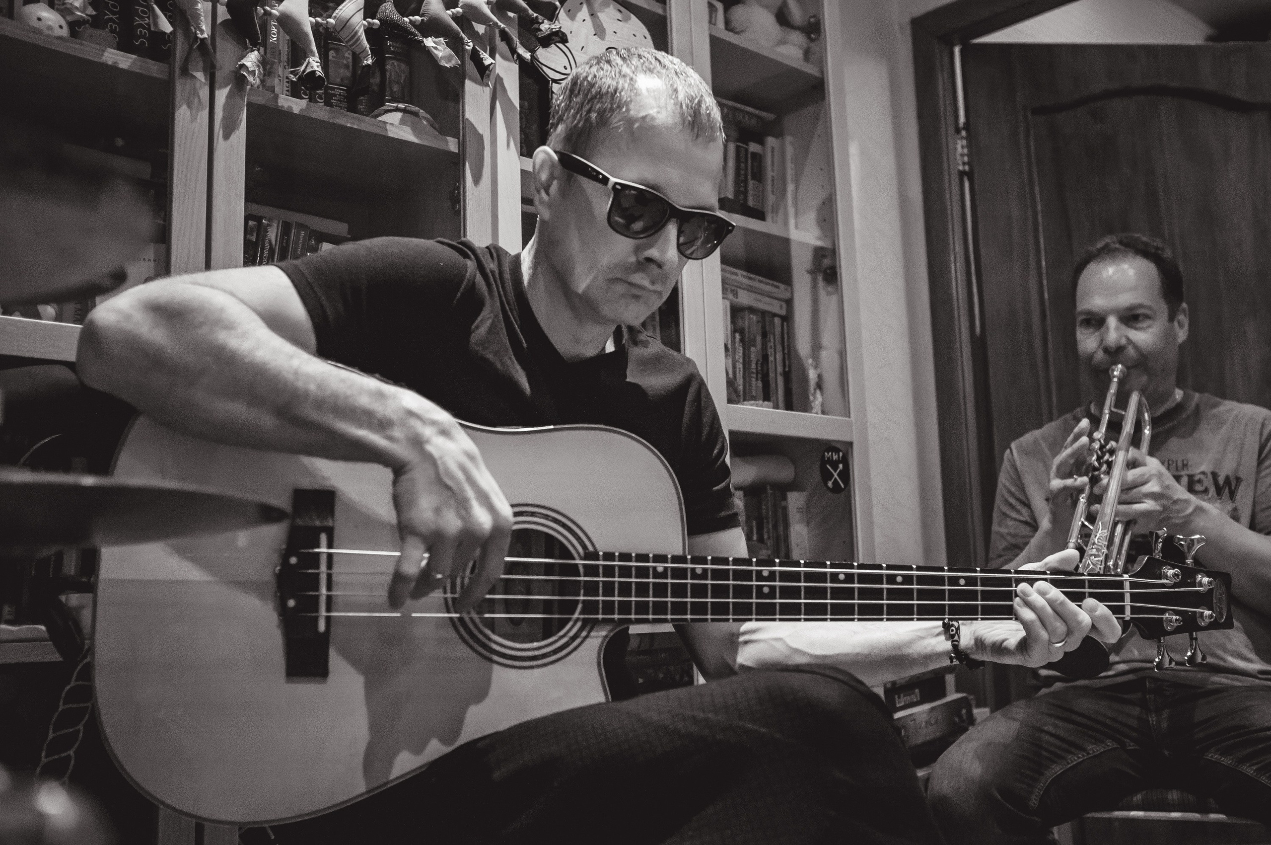 Домашний концерт