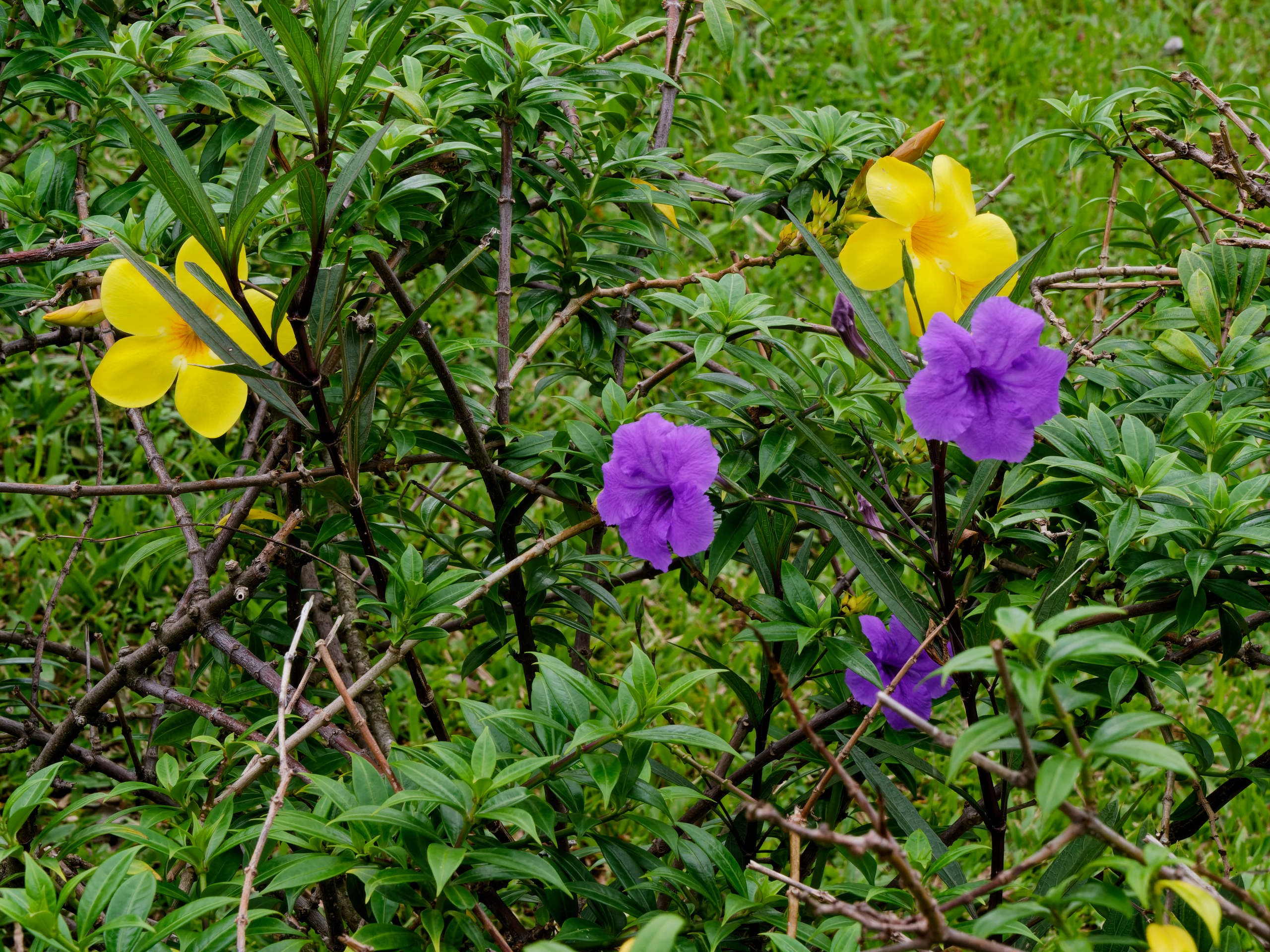 Нячанг 2025 (4). Избранные фотографии