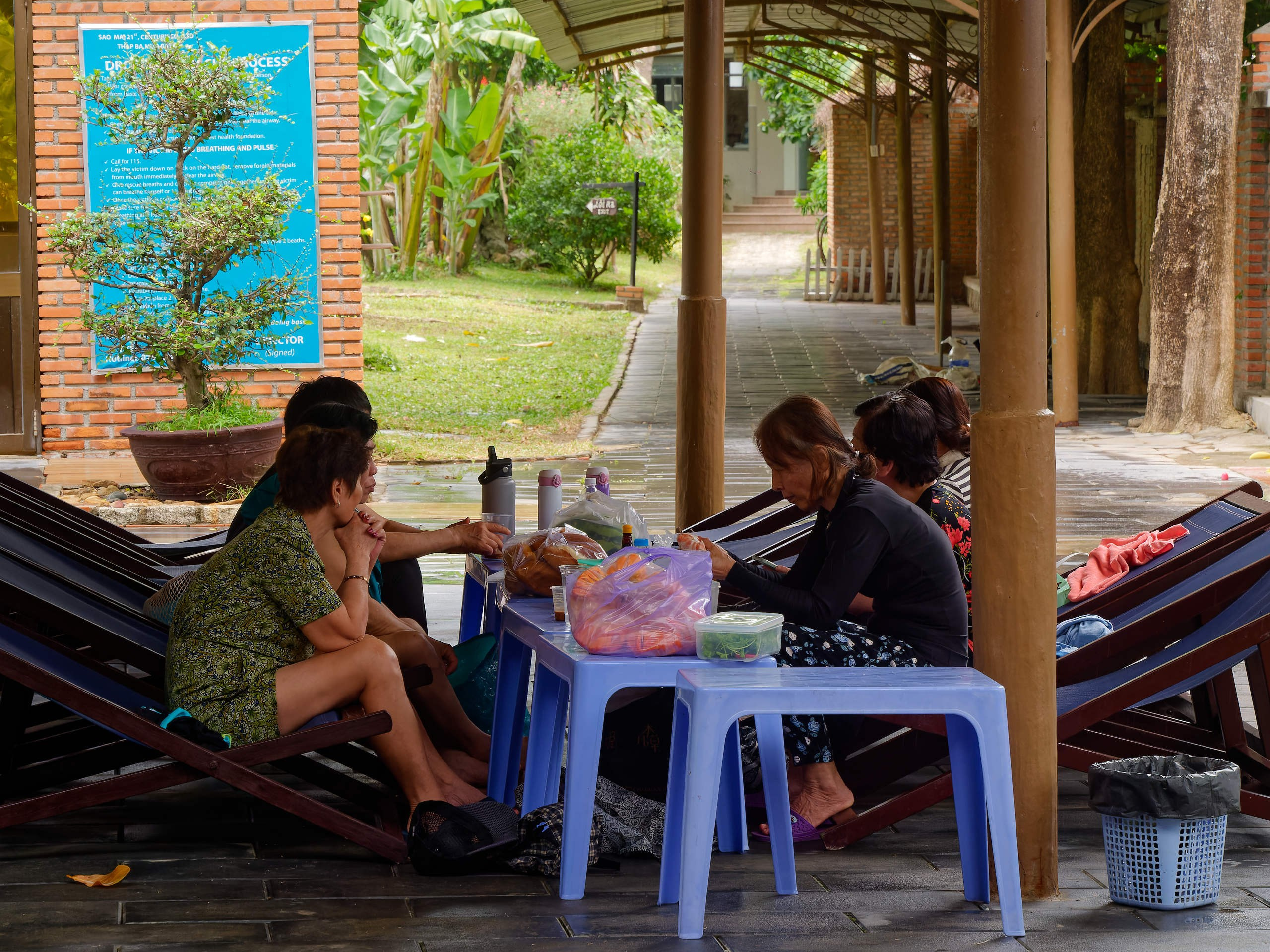 Нячанг 2025 (4). Избранные фотографии