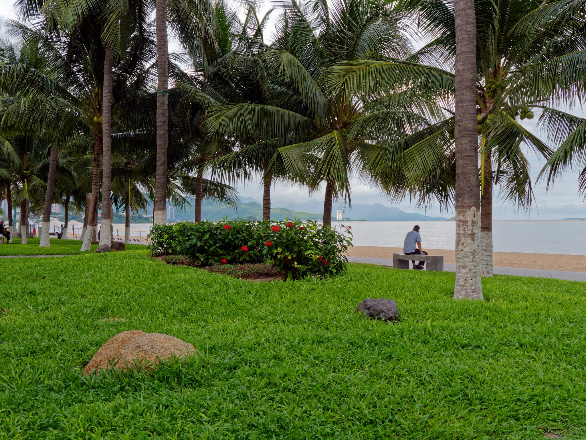 Нячанг 2023. Избранные фотографии