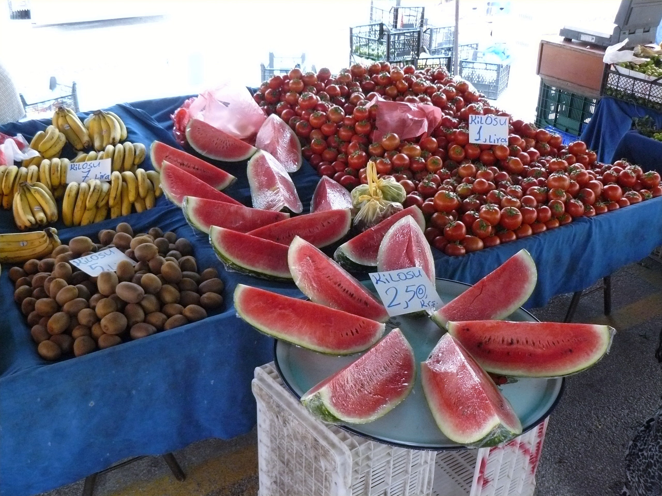 Алания 2014. Фотопрогулки по Миру