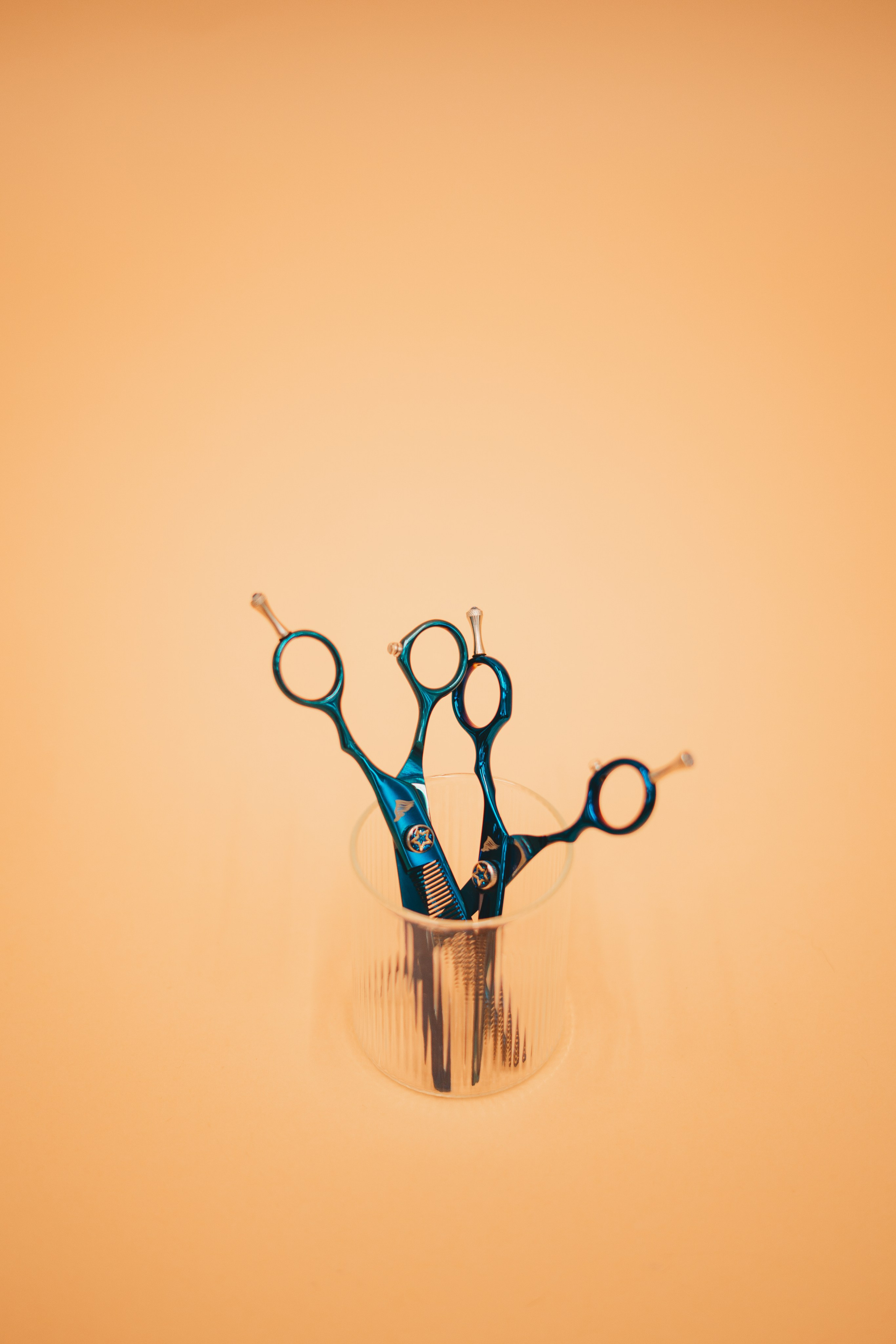 Груминг — салон. Фотограф анималист Осипчикова Мария