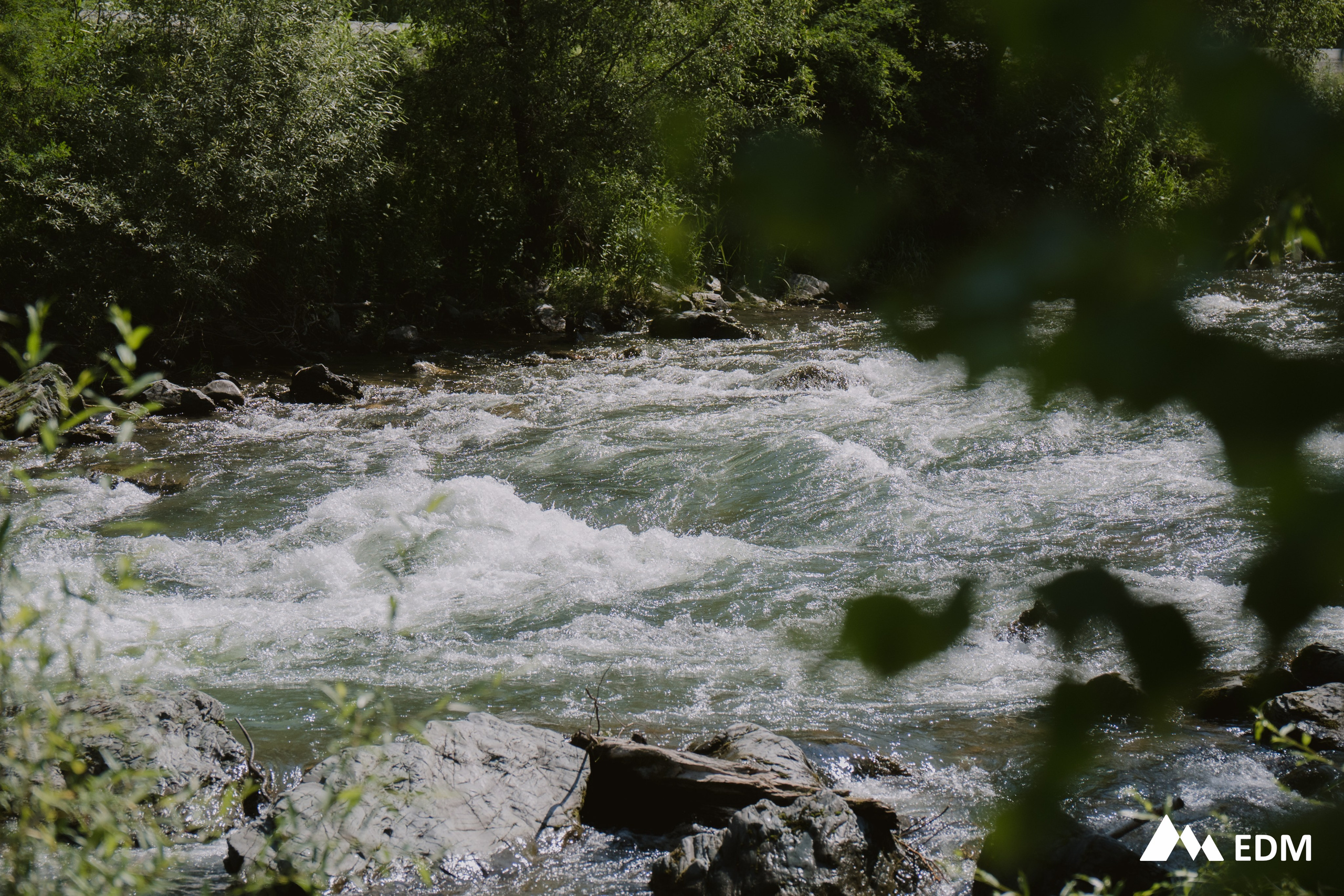 Международная конференция EDM. Фотограф Новосибирск Вероника Вишневская