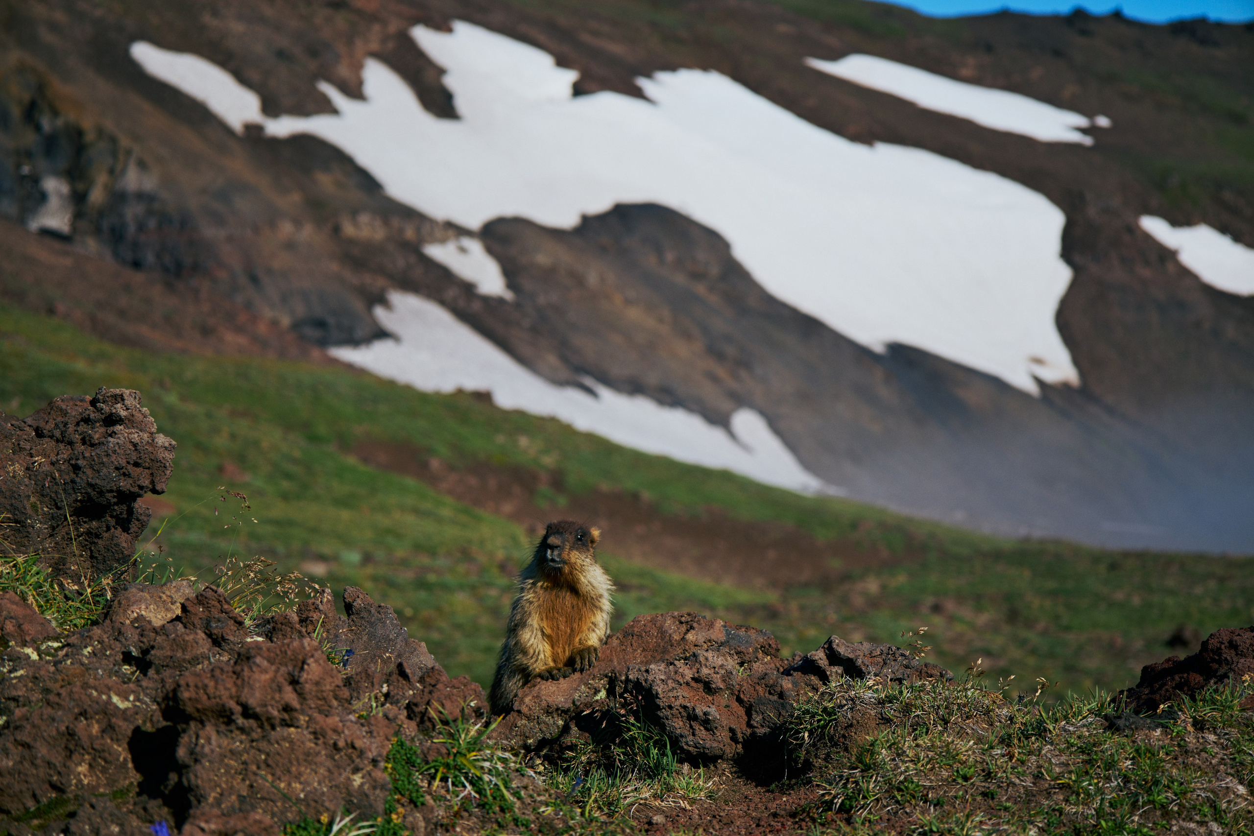 Камчатка. Travel-фотограф Ирина Милинцова