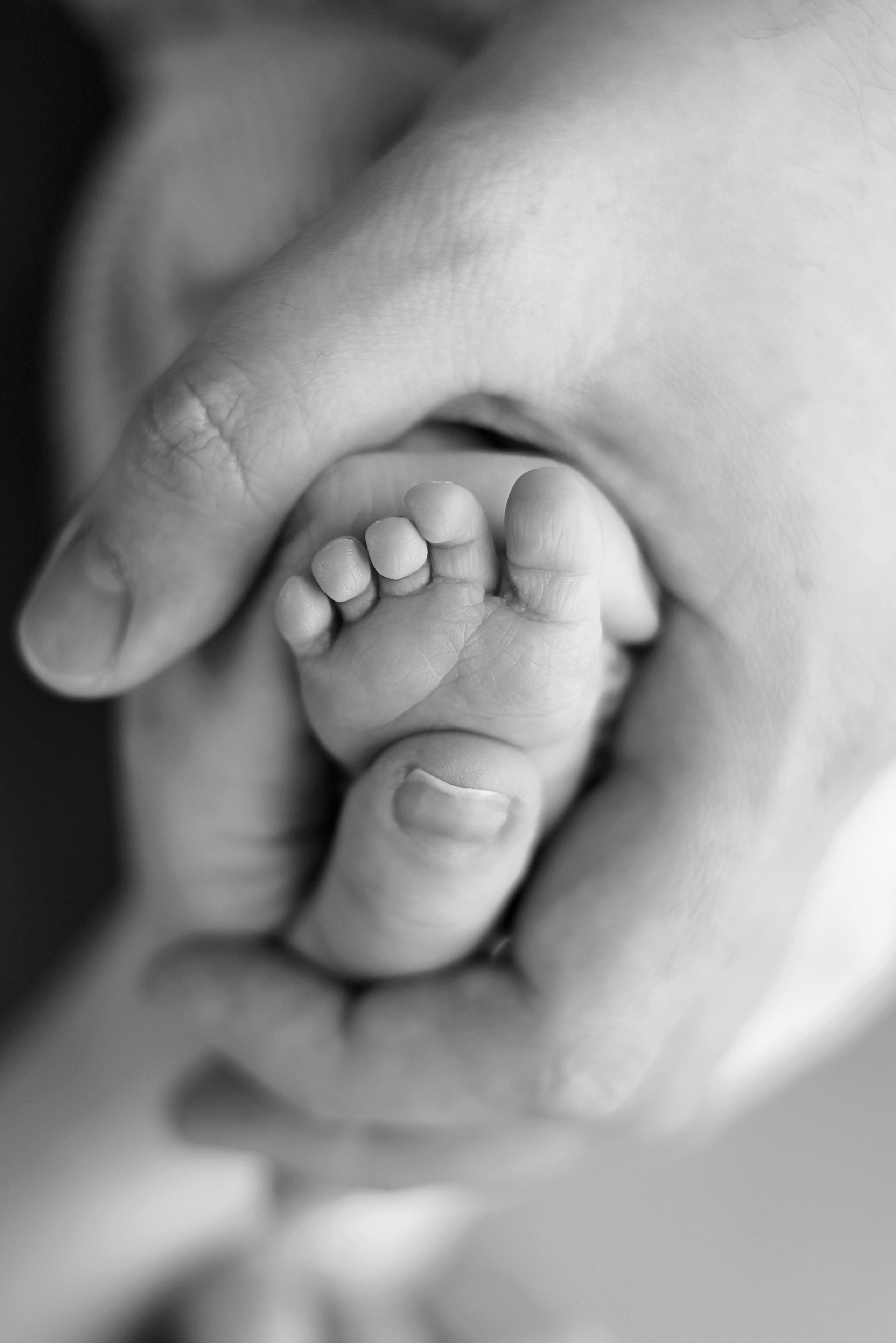 Ньюборн съемка Анны, максимальный пакет. Фотограф новорожденных Москва. Ньюборн фотограф Москва