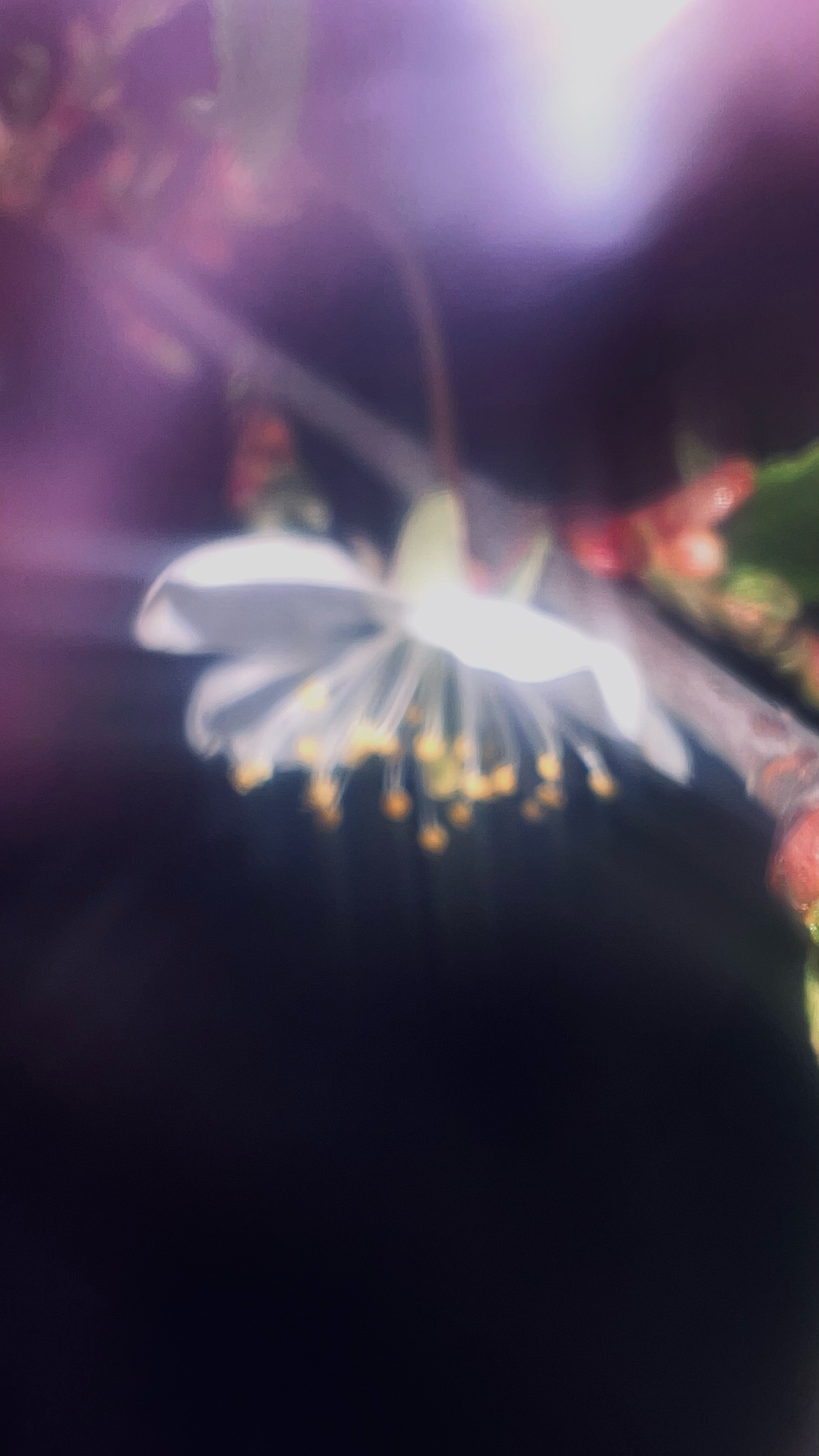 My beautiful days / Moscow 2024. POLINA MÔMOT