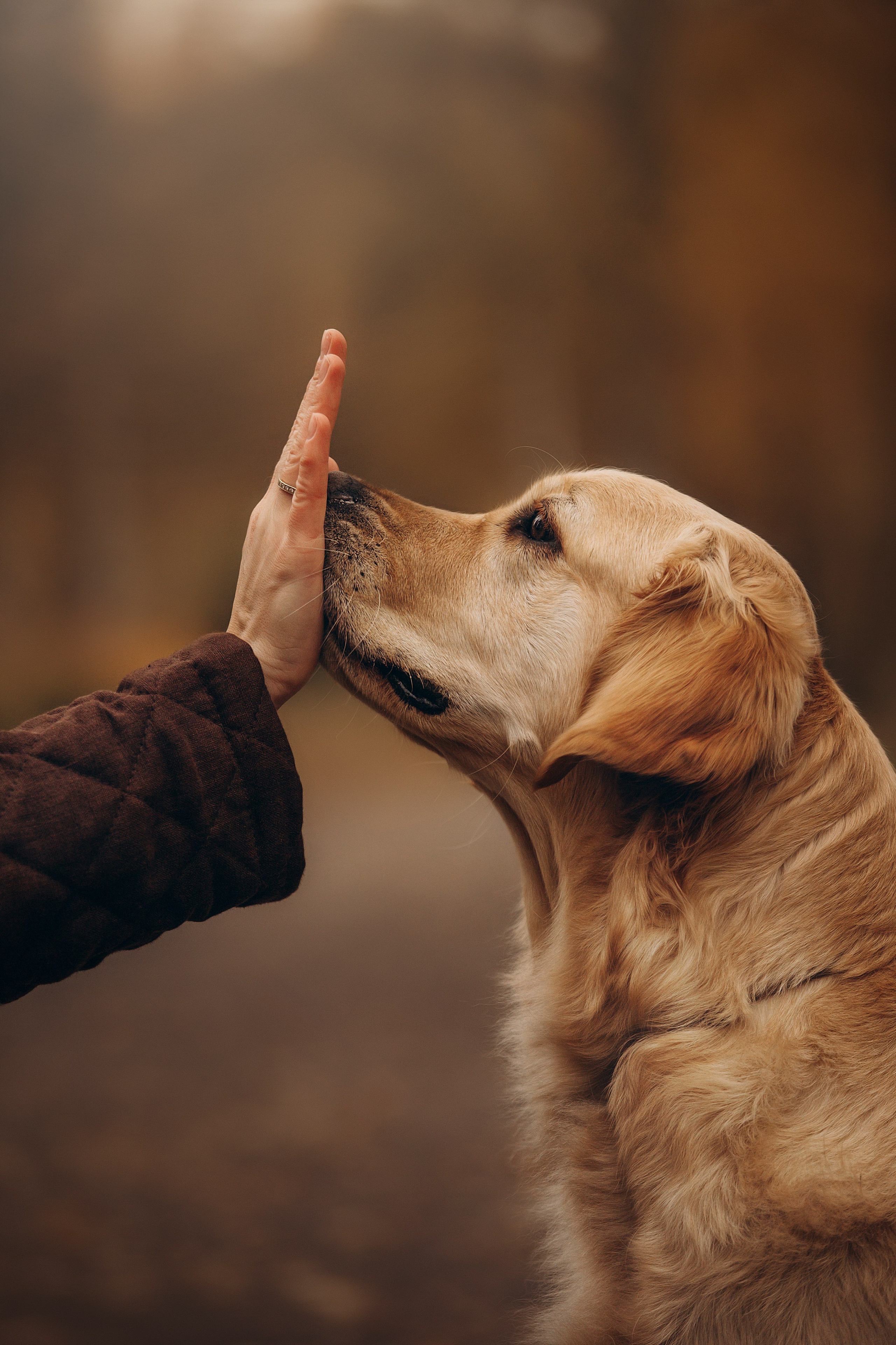 Марина и Чили. Фотограф — Анималист | Санкт-Петербург