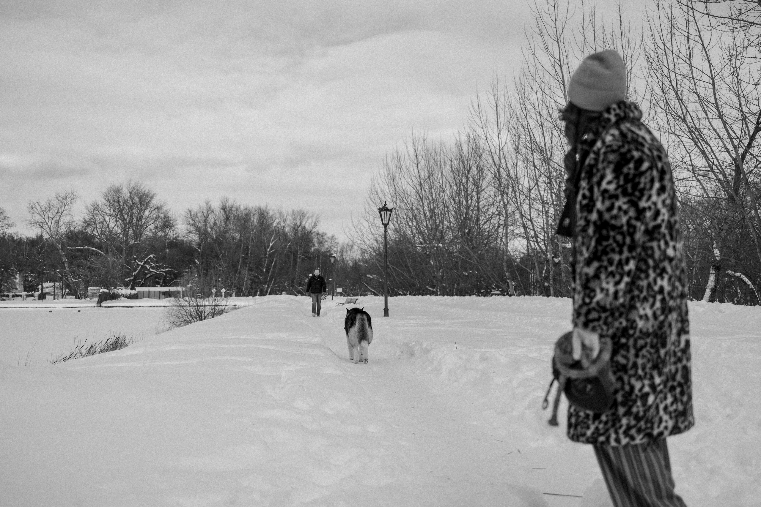 Вегас и его семья. Фотограф — Анималист | Санкт-Петербург