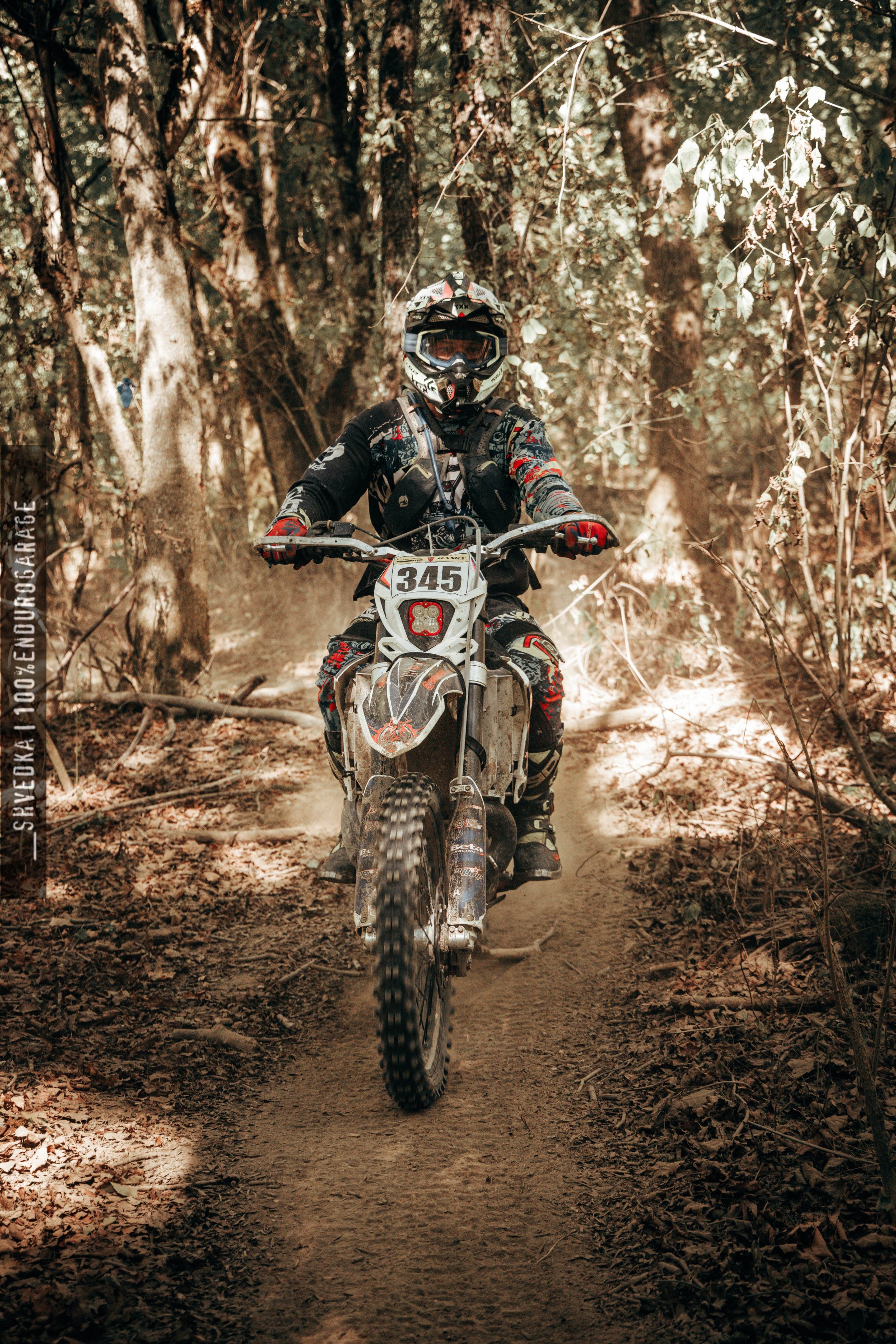 1 лесной день. Ваш экстрим фотограф Кудрева Яна