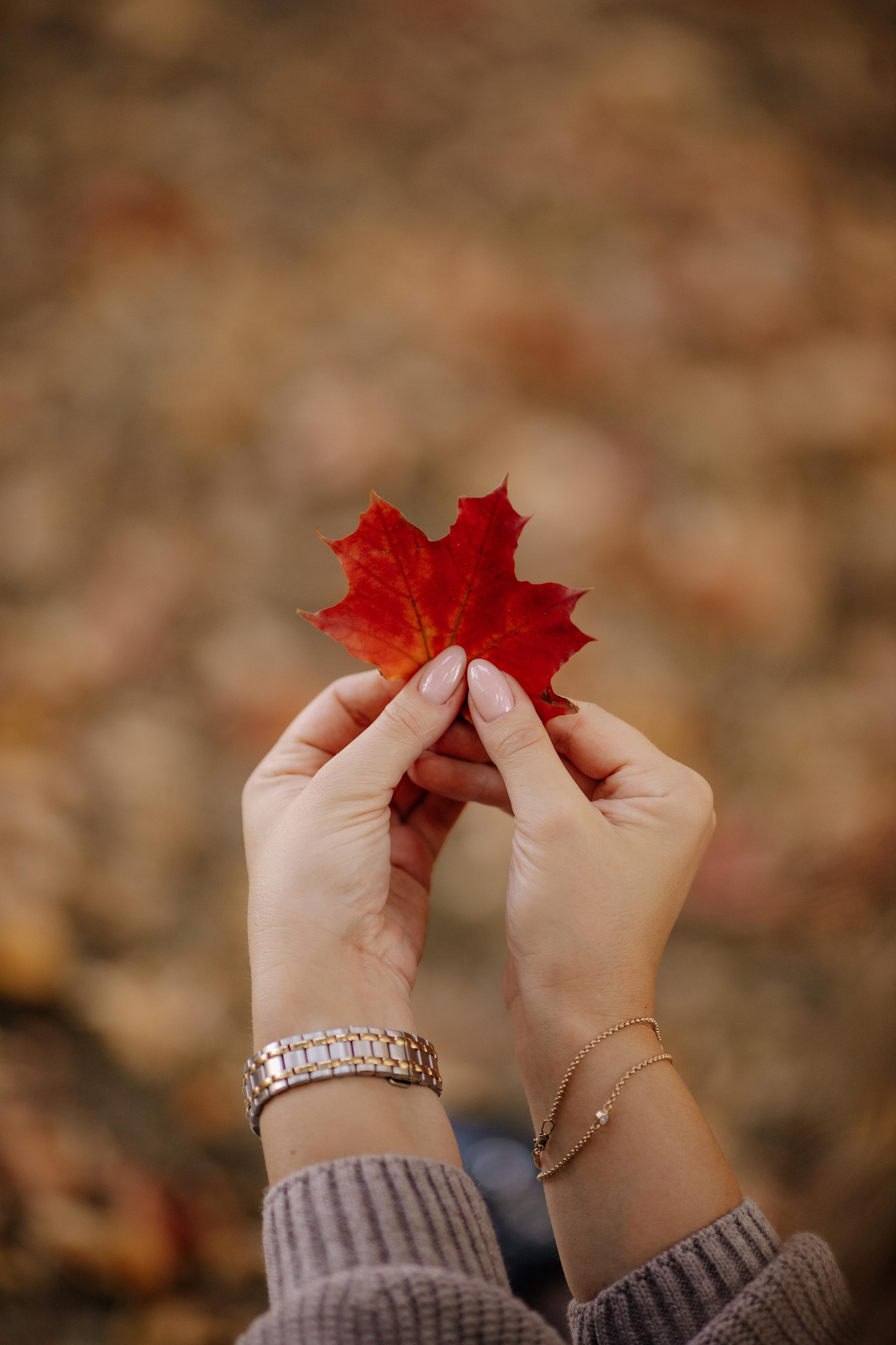 Семейный и свадебный фотограф Видное Москва Екатерина Пятова