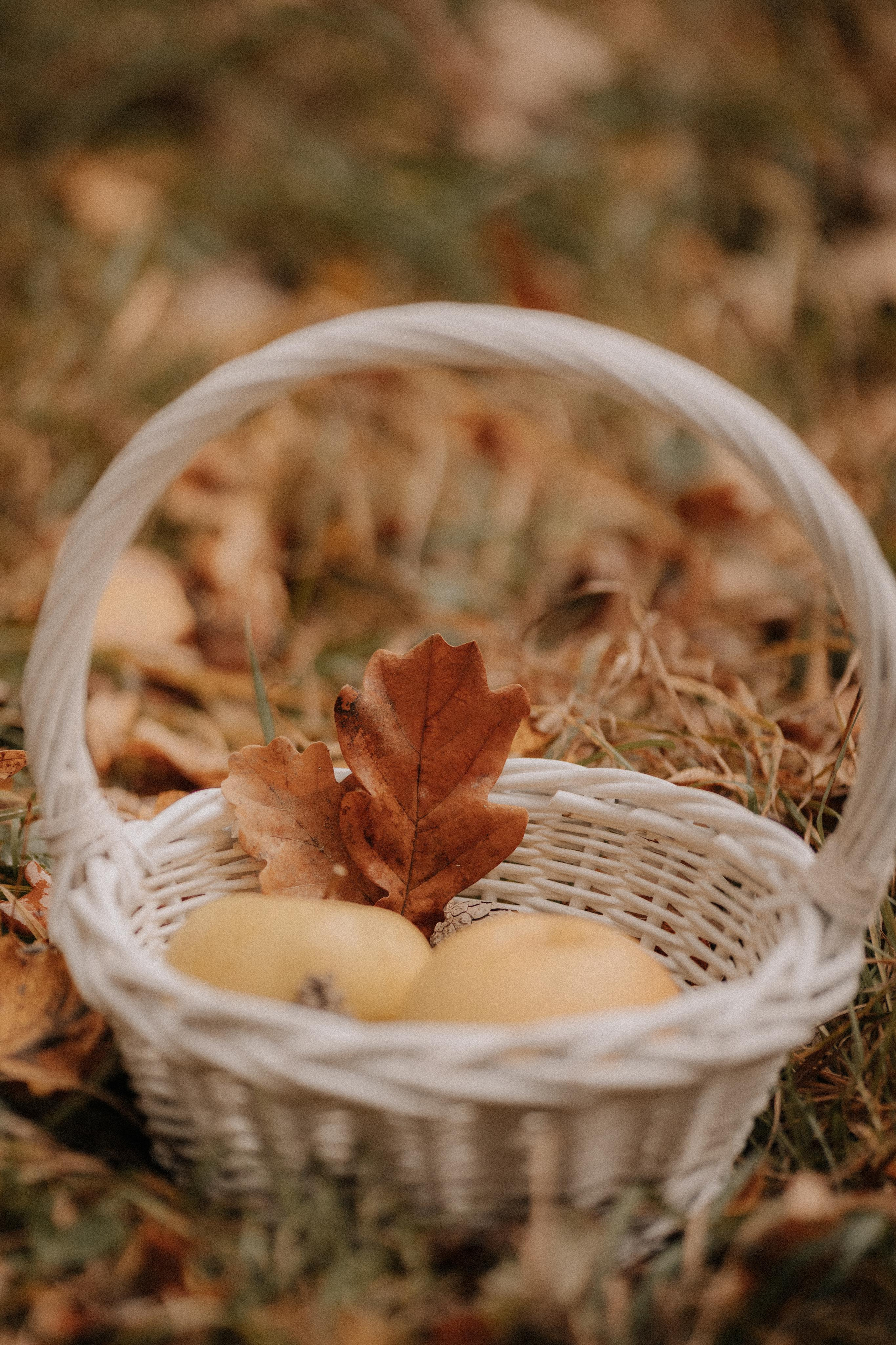 Семейный и свадебный фотограф Видное Москва Екатерина Пятова