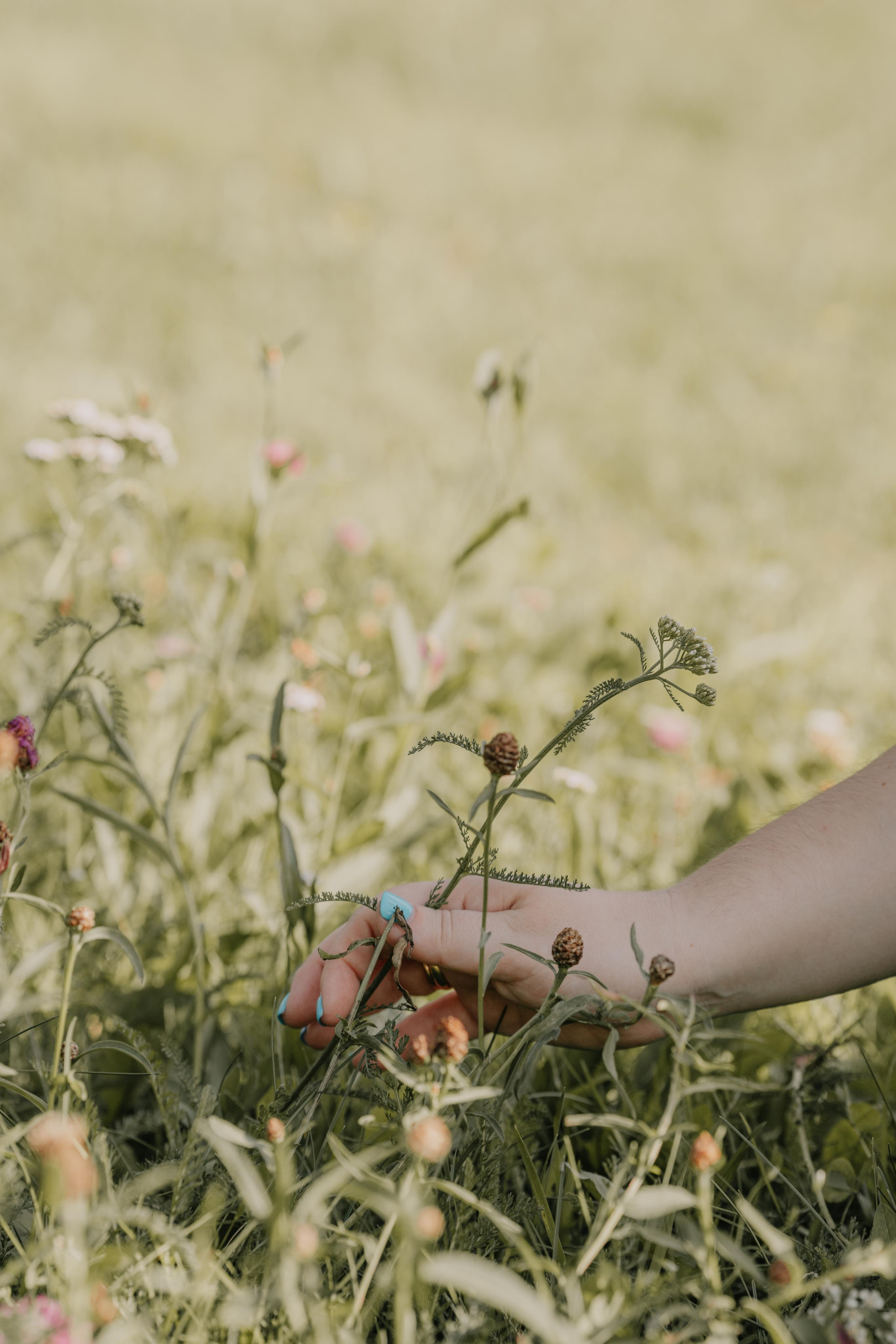 Семейный и свадебный фотограф Видное Москва Екатерина Пятова
