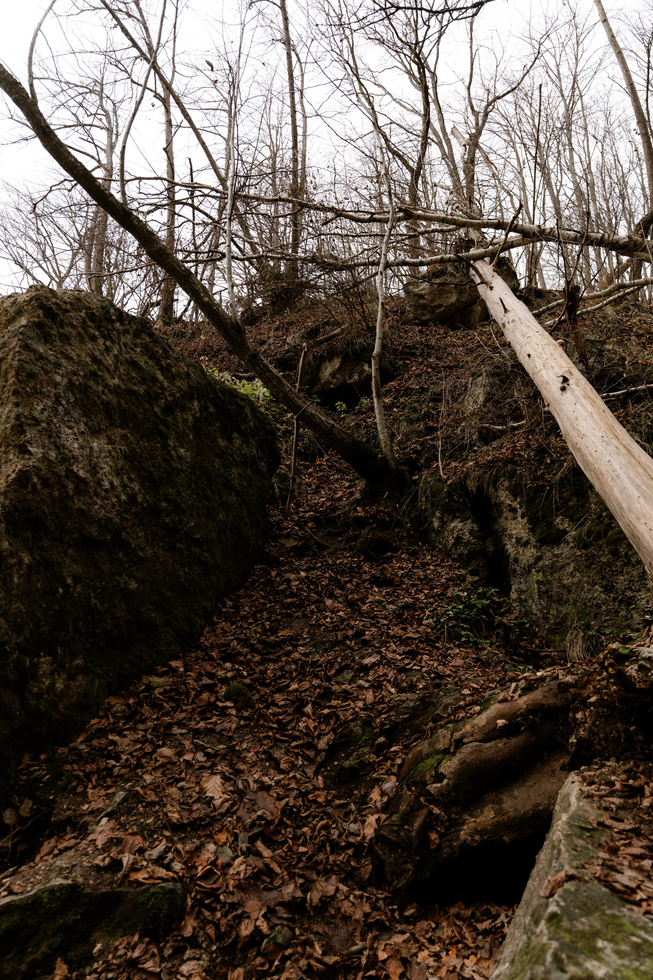 Кольцовские пещеры. Vlad Trykov