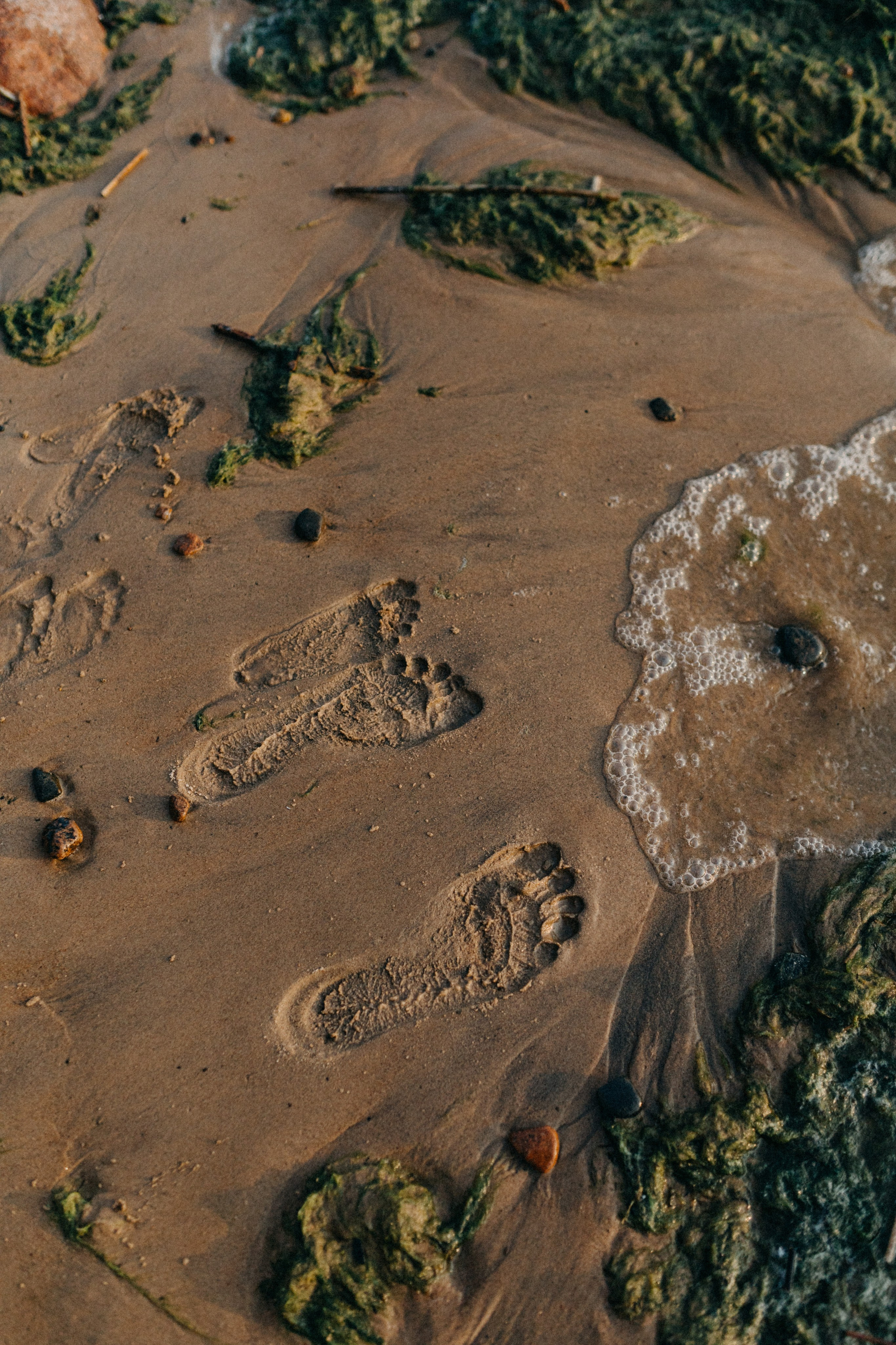 Семейная съемка. Фотограф в Санкт-Петербурге Шура Капустина