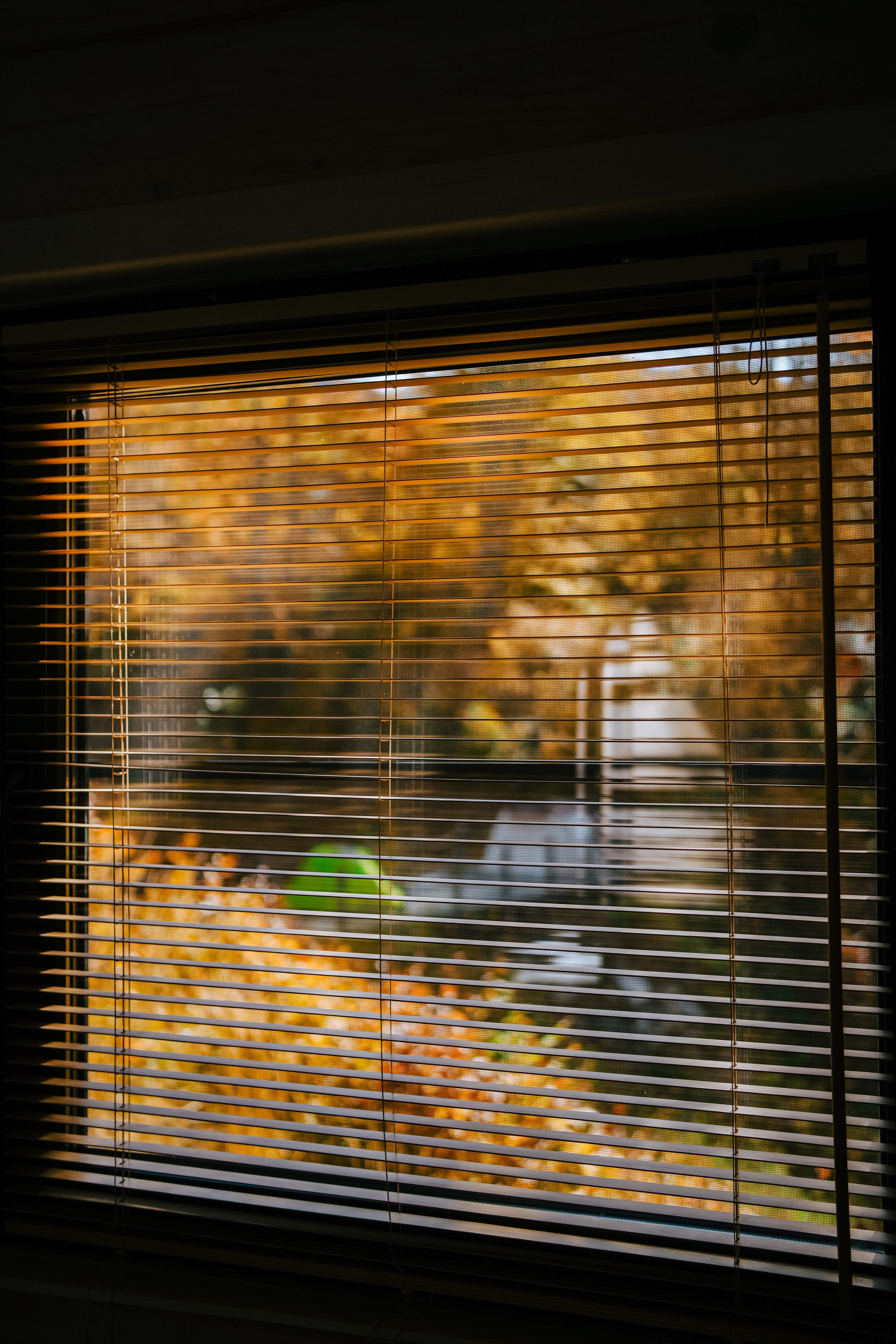 Роза Пик, тропа Турья ✽ Октябрь. Репортажный фотограф | Роза Хутор Красная Поляна Сочи Сириус