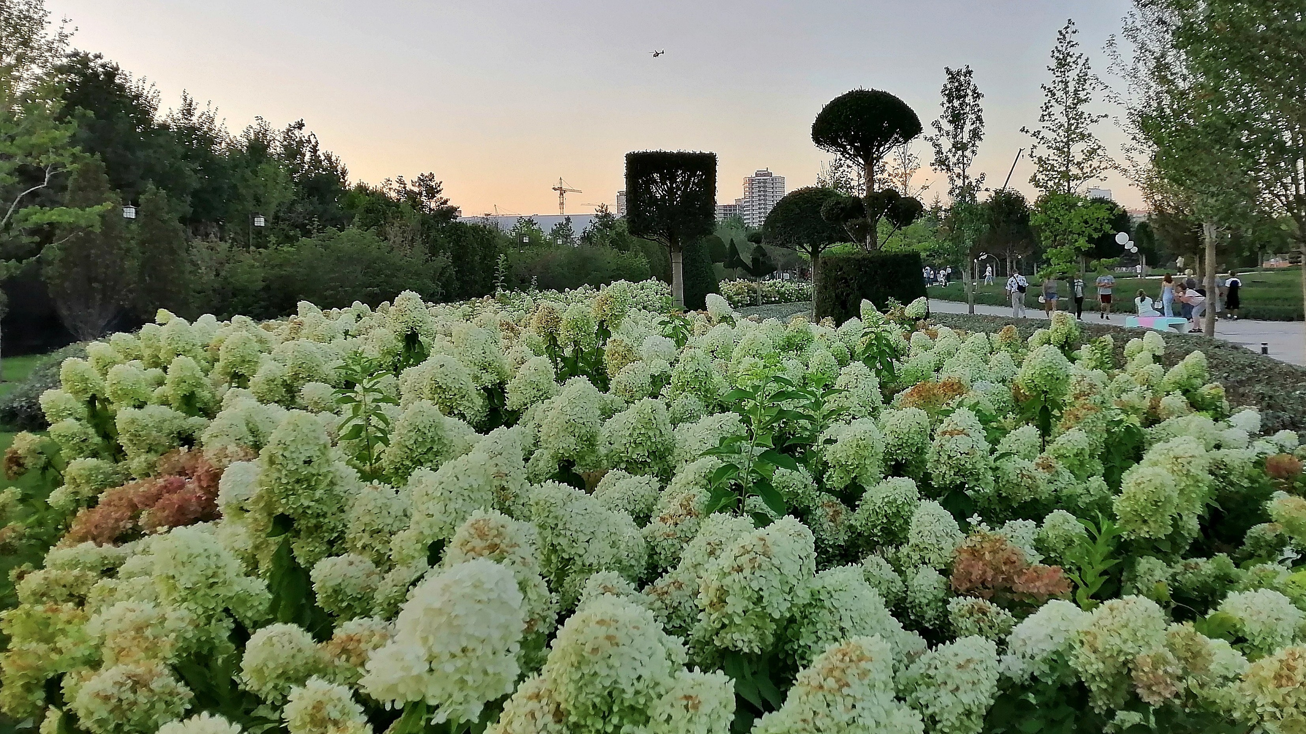 Парк Краснодар (парк Галицкого). Фотограф Славянск на Кубани
