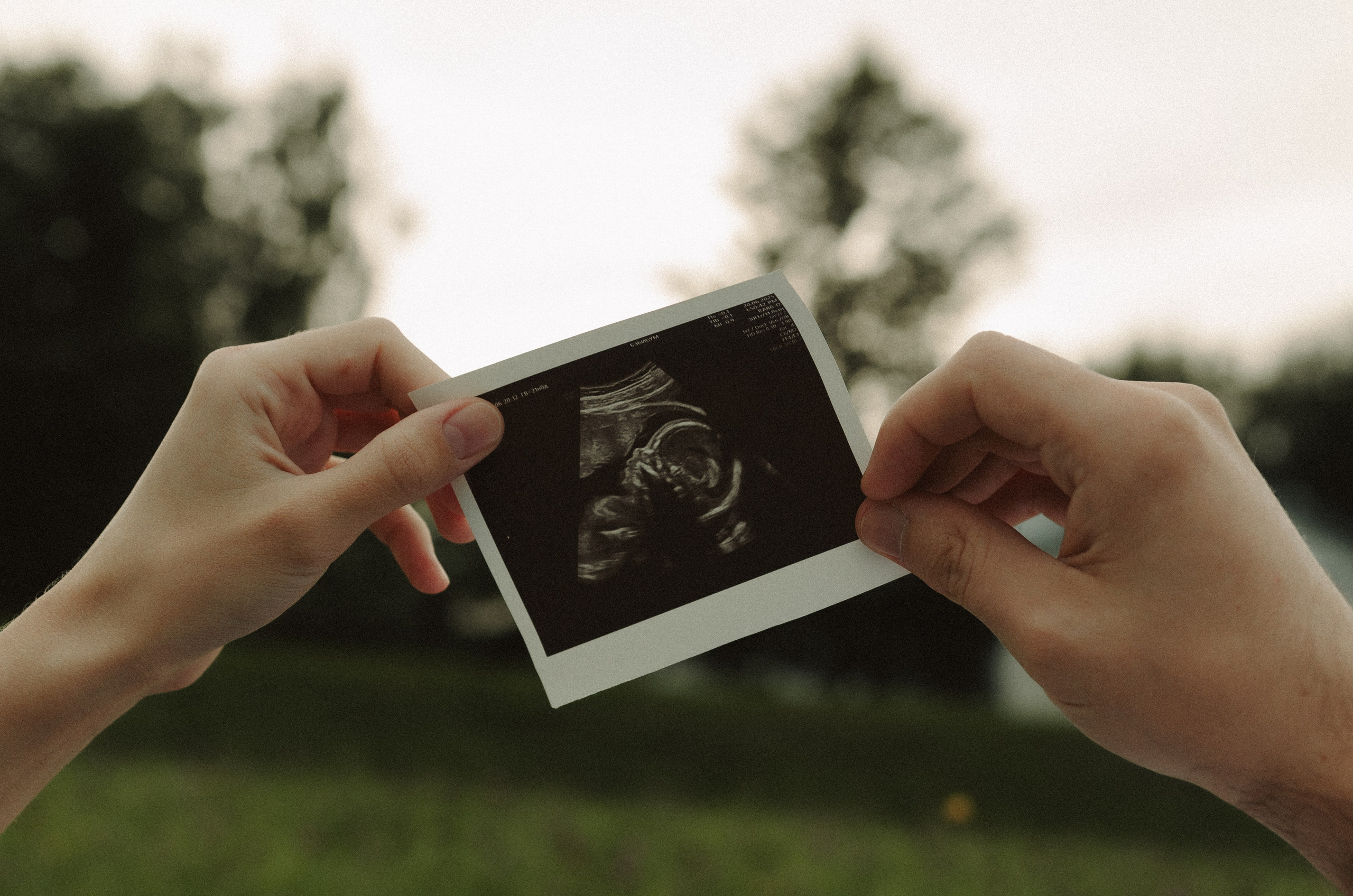 Сергей и Елена. Наталья Севрук — фотограф во Владимире