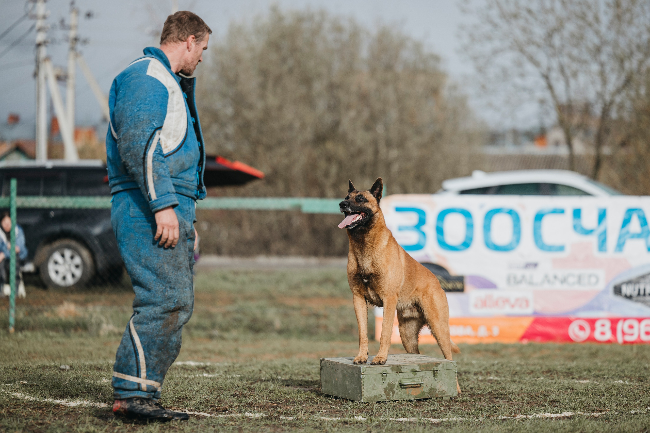 09.05.25 Вологда соревнования. Фотограф-анималист Анна Маринич