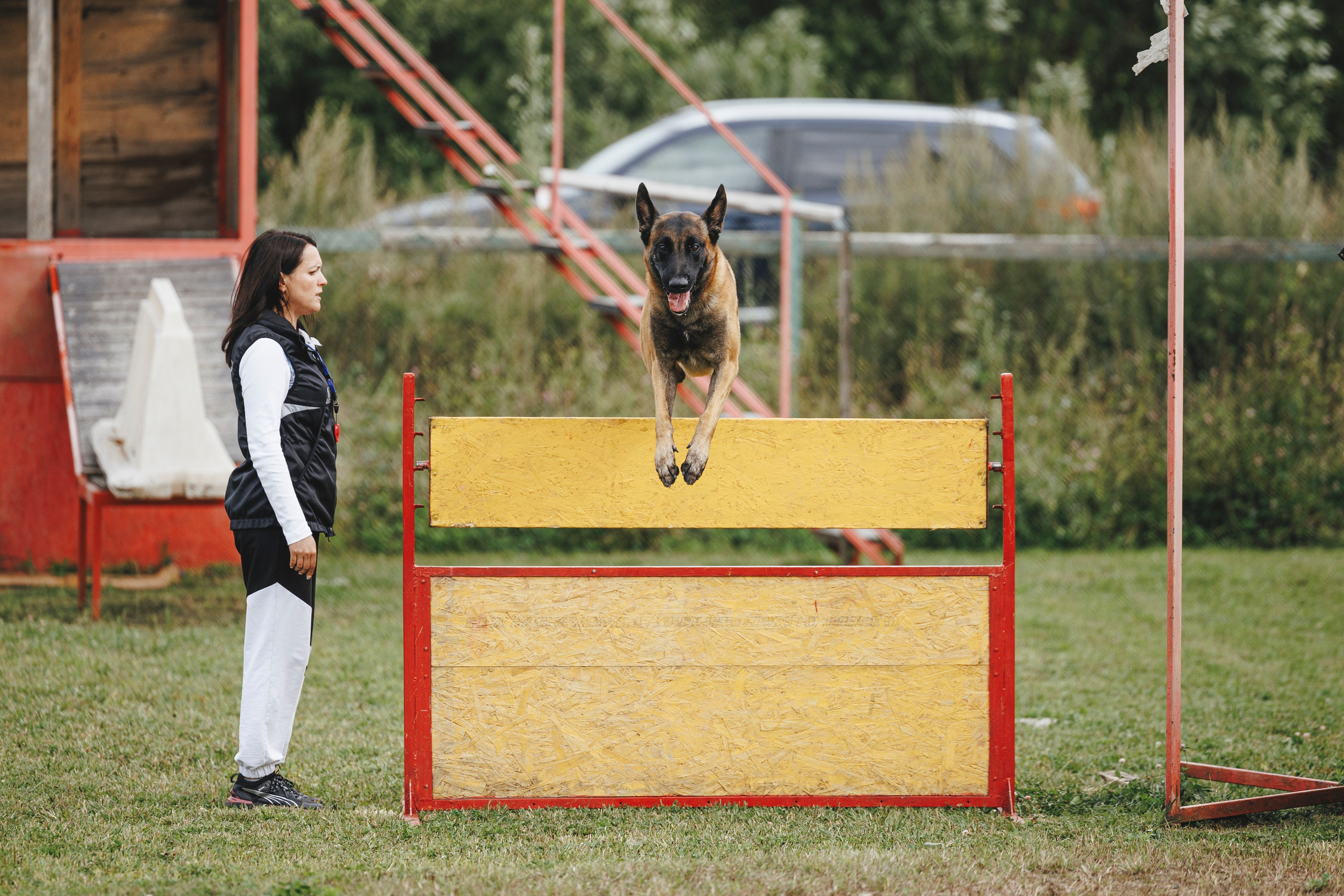 08.08.25-10.08.25 ЧР по мондьорингу г. Вологда. Фотограф-анималист Анна Маринич