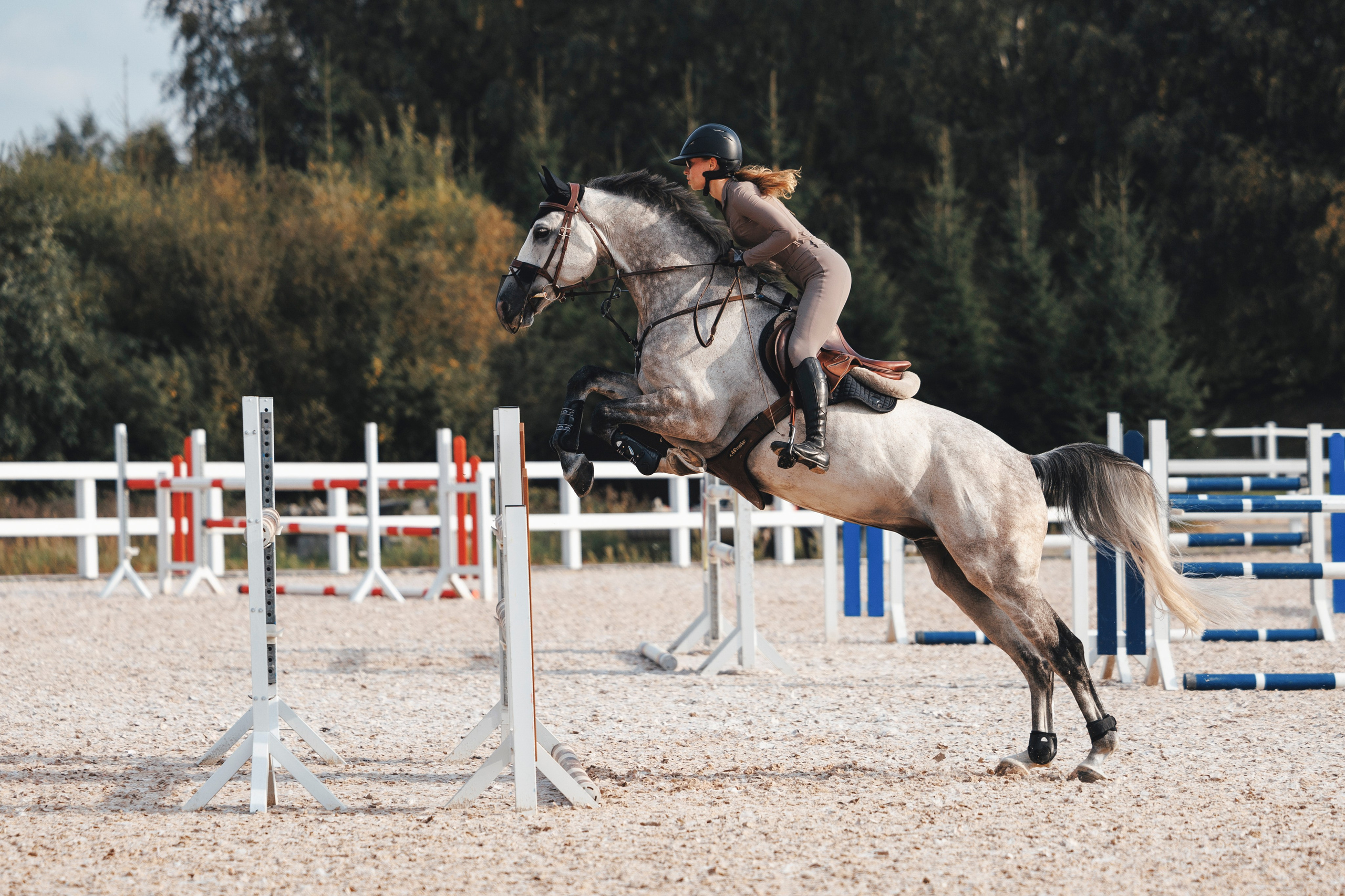 Конкур. Фотограф-анималист Анна Маринич