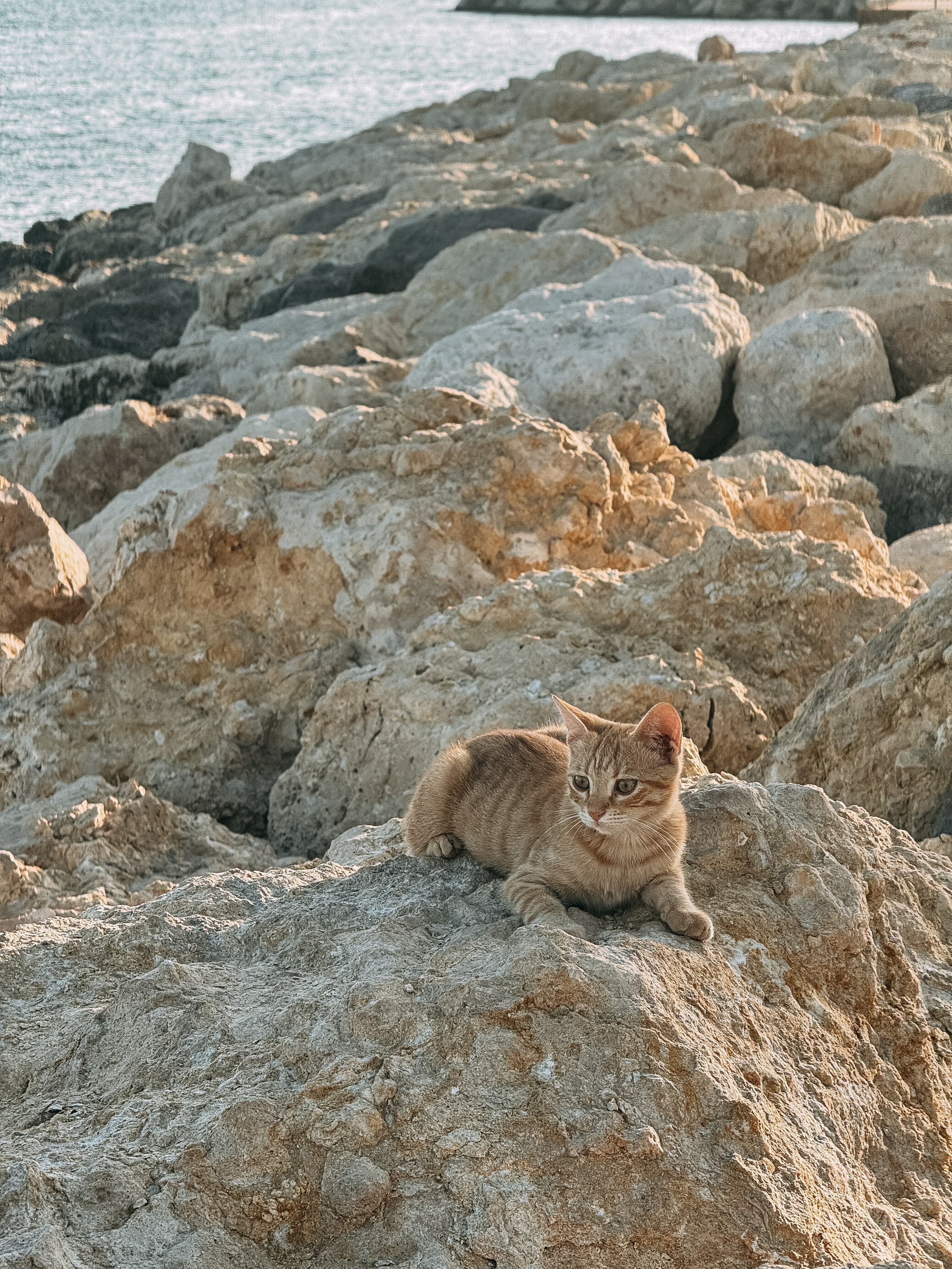 Iphone. Фотограф в Турции — Дарья Н