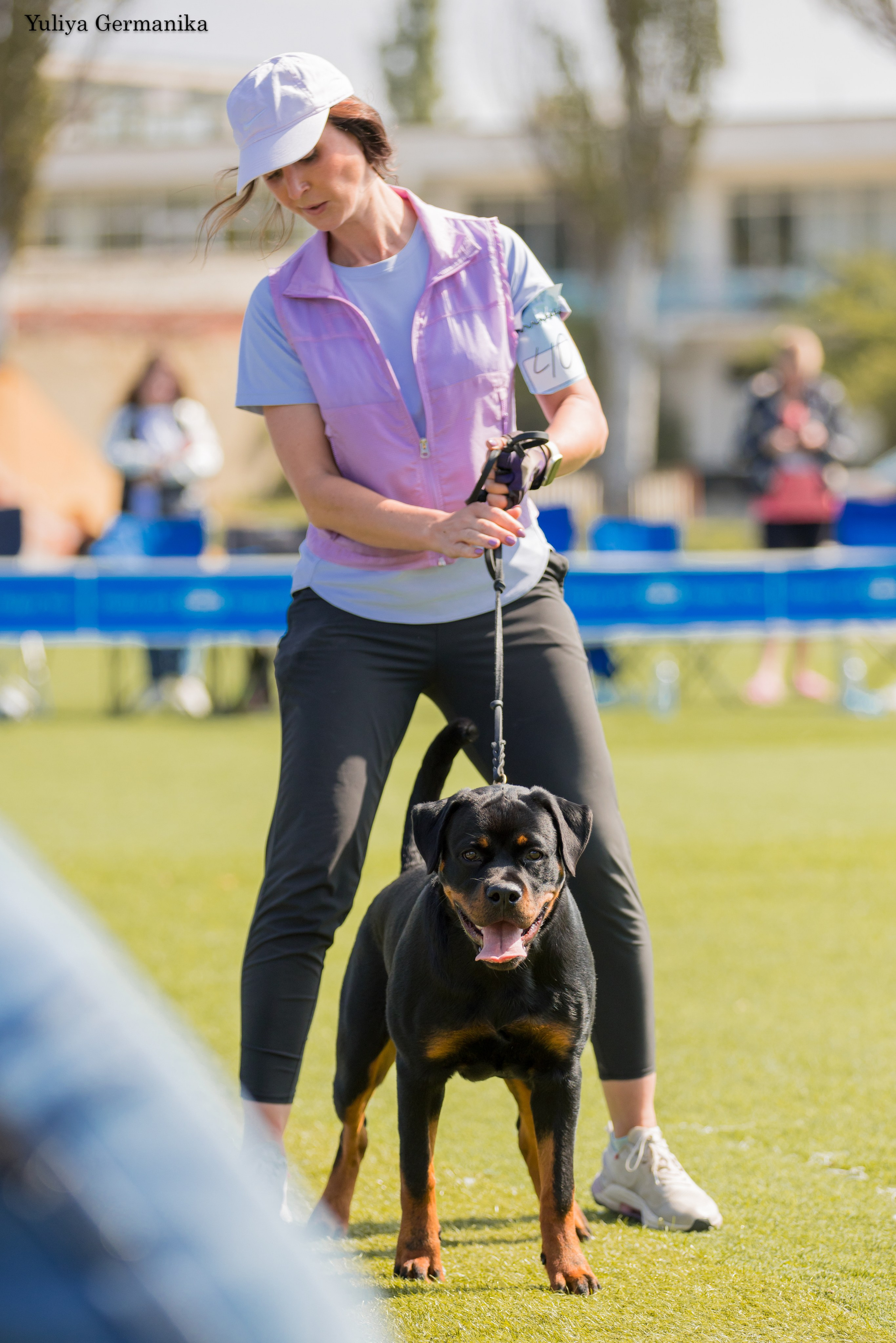 Анапа 16-17.09.2023 моно ротвейлеров. Фотограф-анималист Юлия Германика