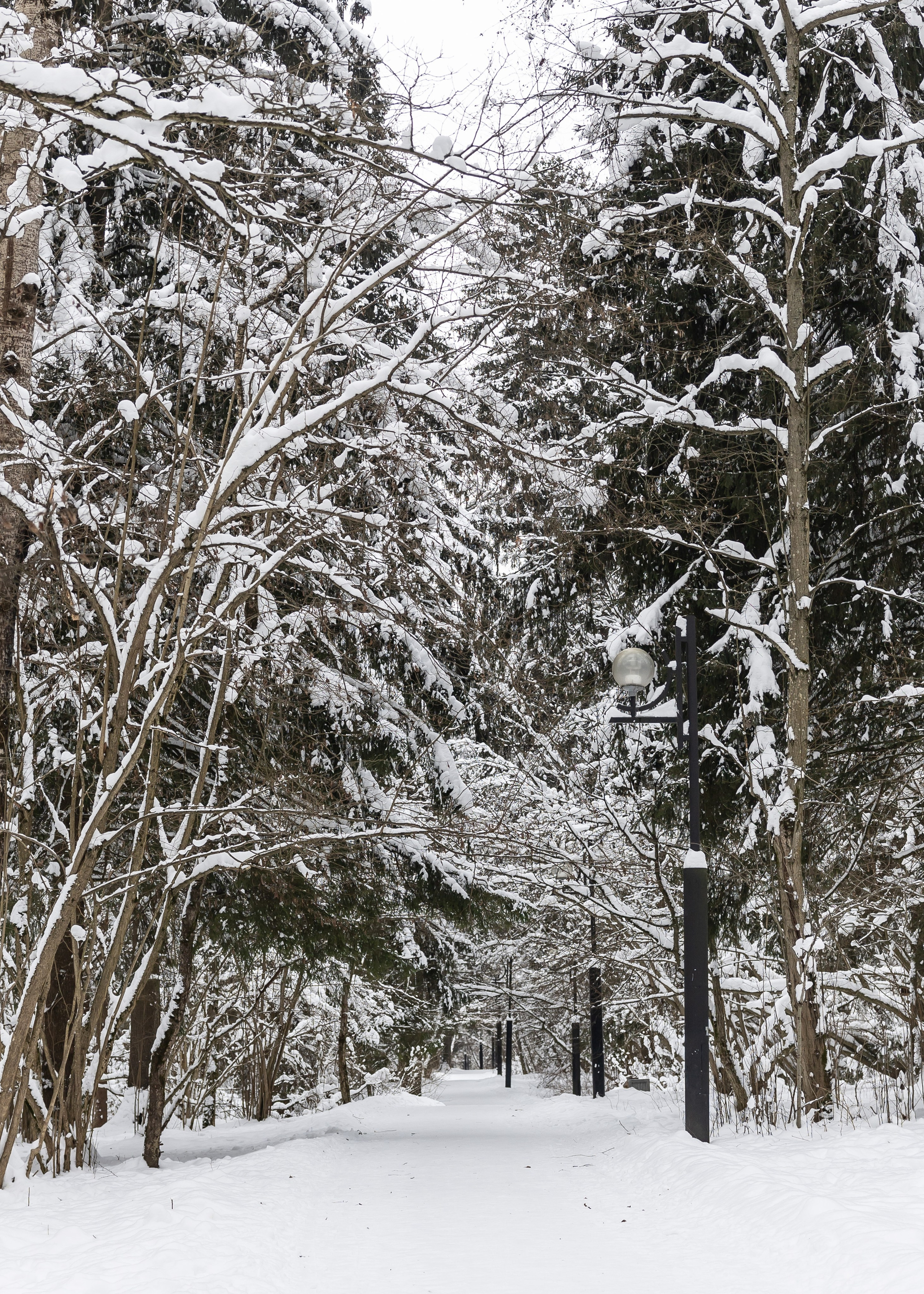 Природа. Фотограф Владимир Охрименко