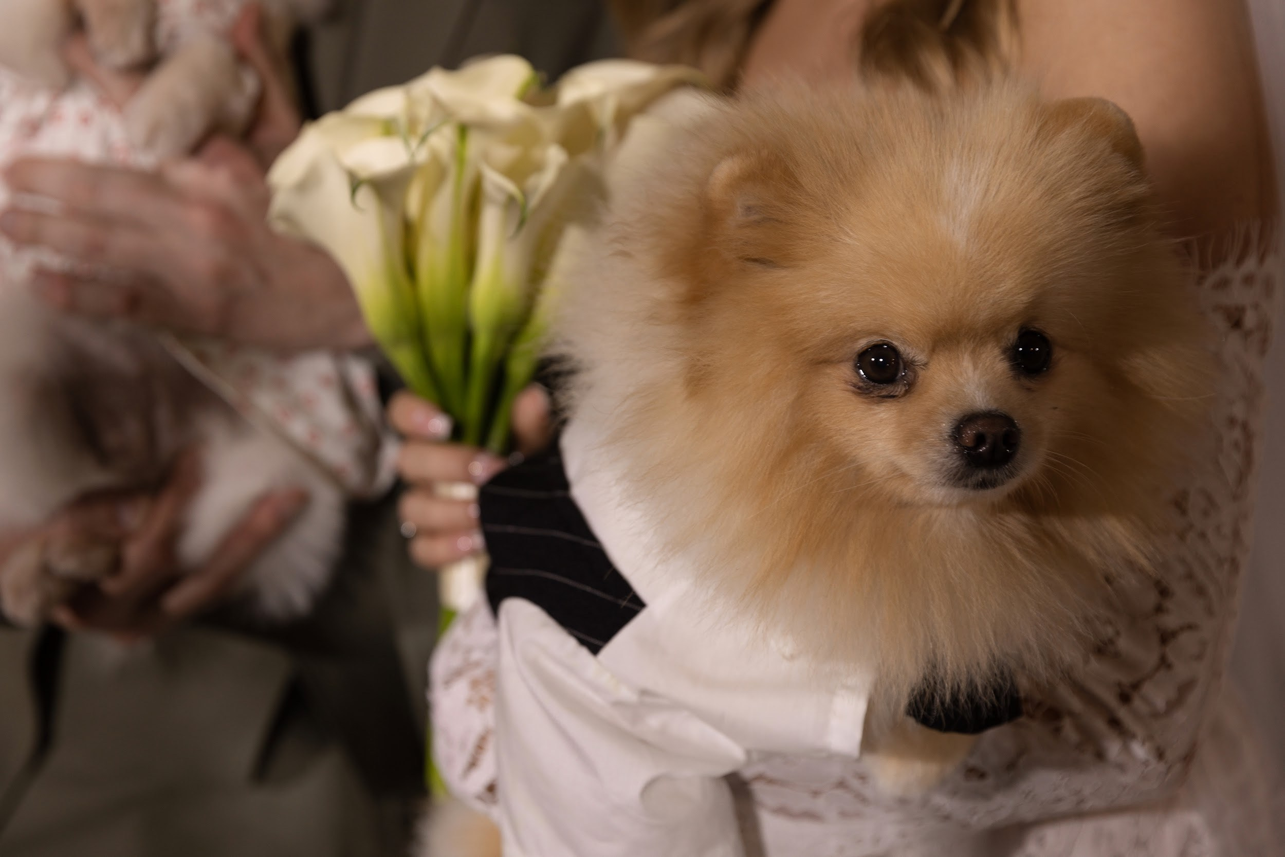 26.07 Михаил и Юлия. Свадебный организатор Екатеринбург